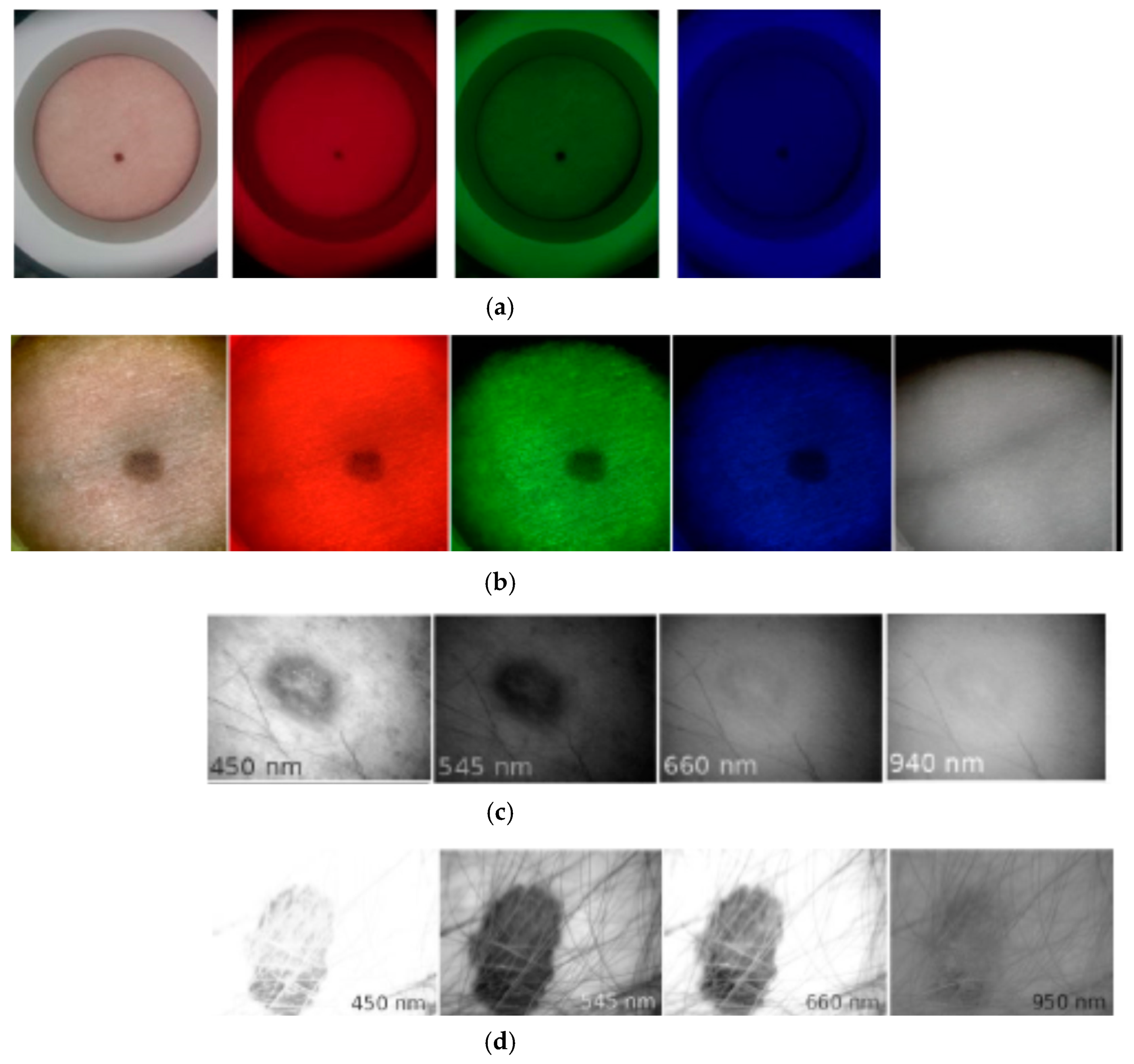 Sensors 17 01165 g016