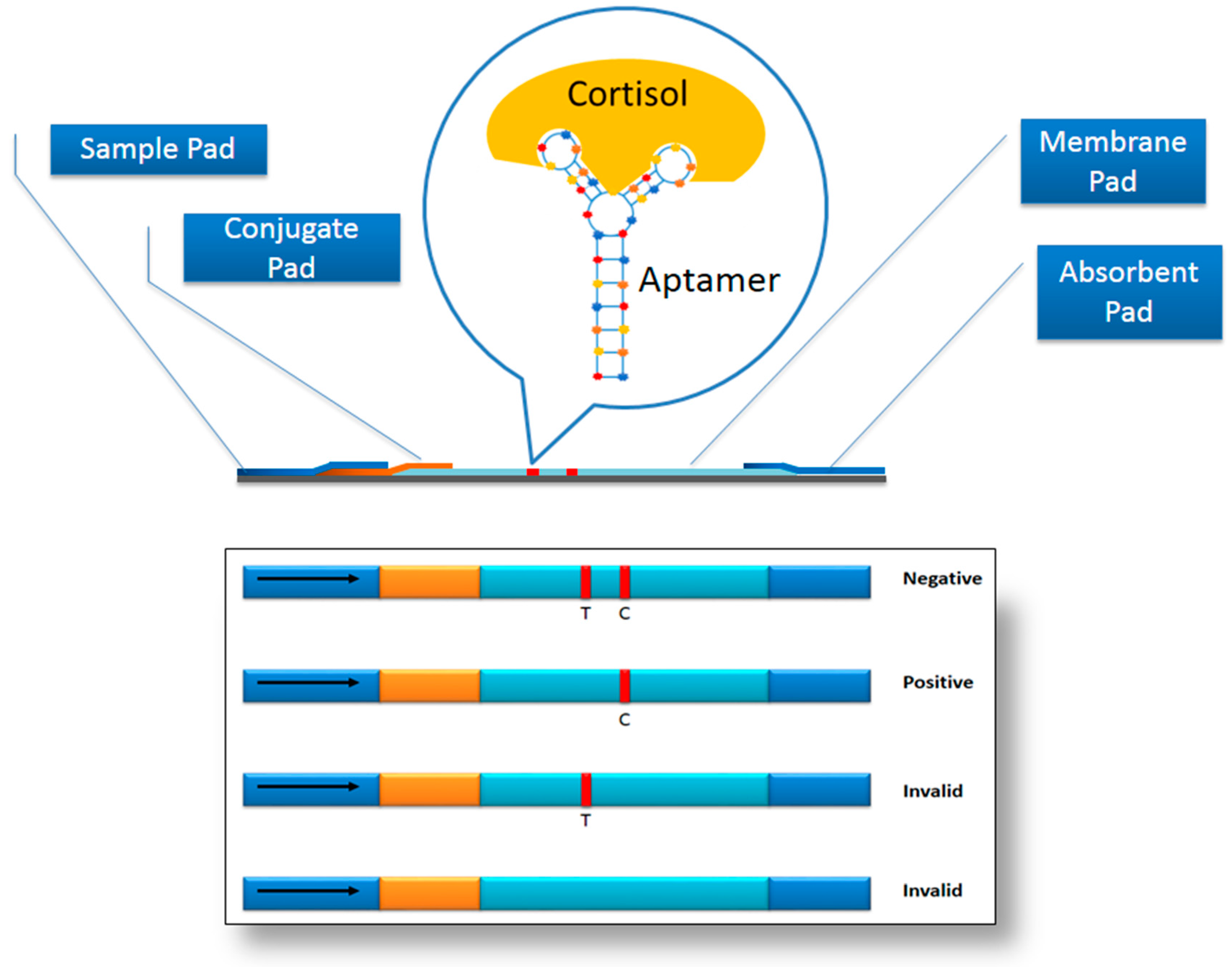 Sensors 17 01180 g005