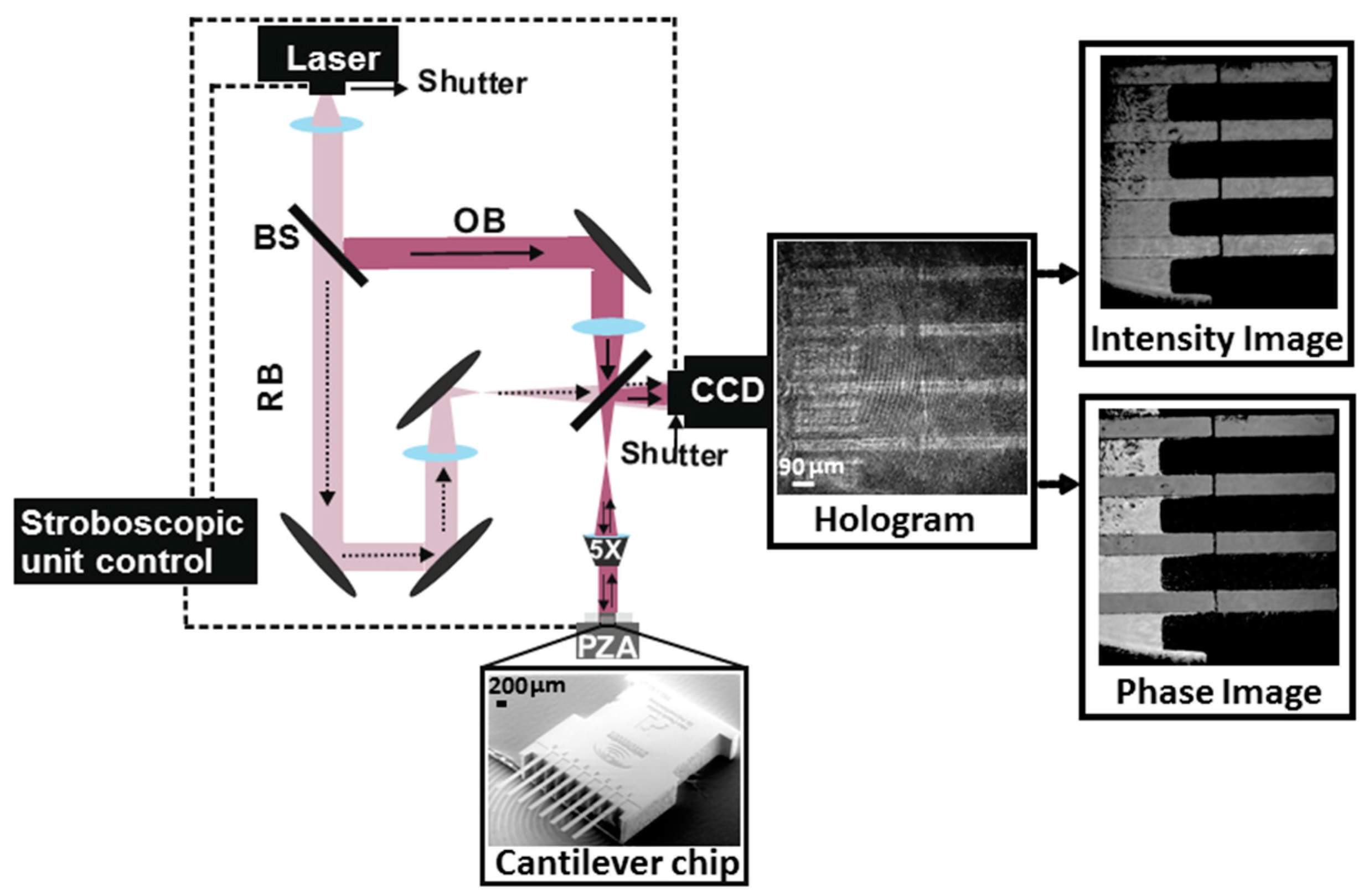 Sensors 17 01191 g001