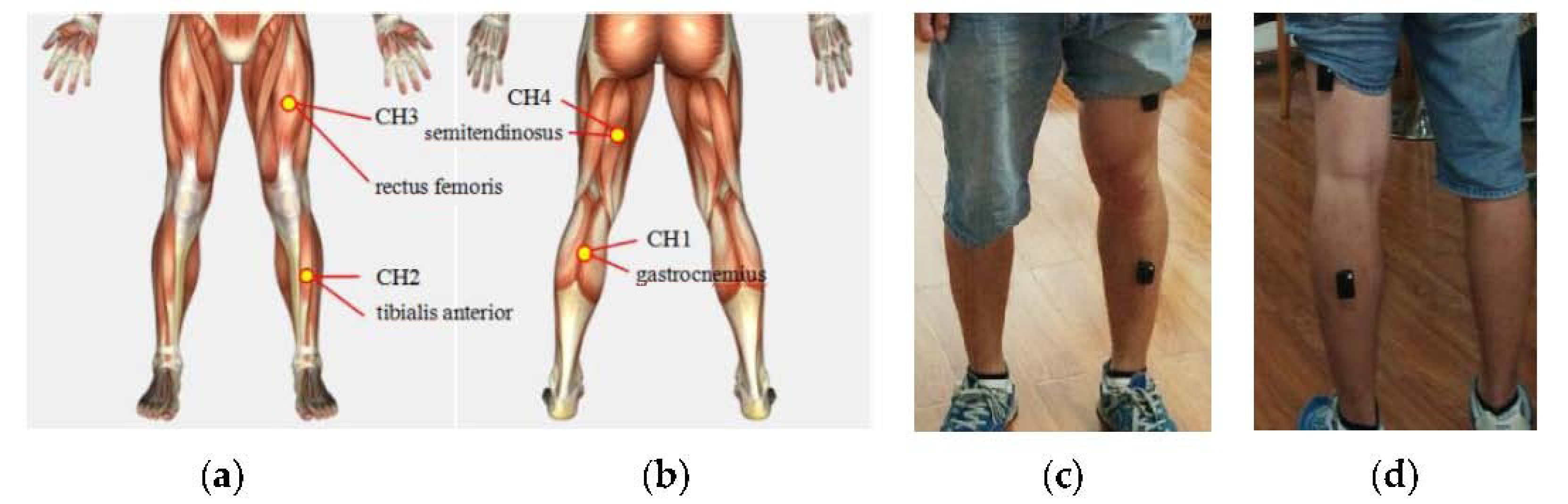 Sensors 17 01229 g001