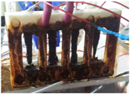 Sensors 17 01238 i003