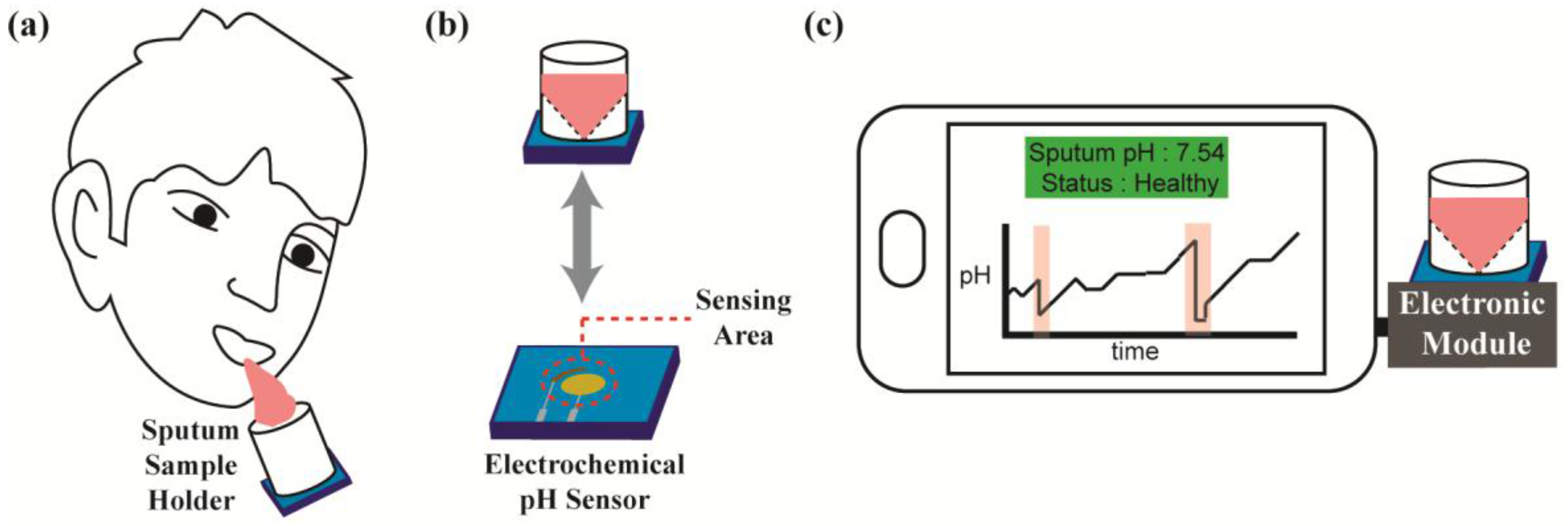 Sensors 17 01245 g001