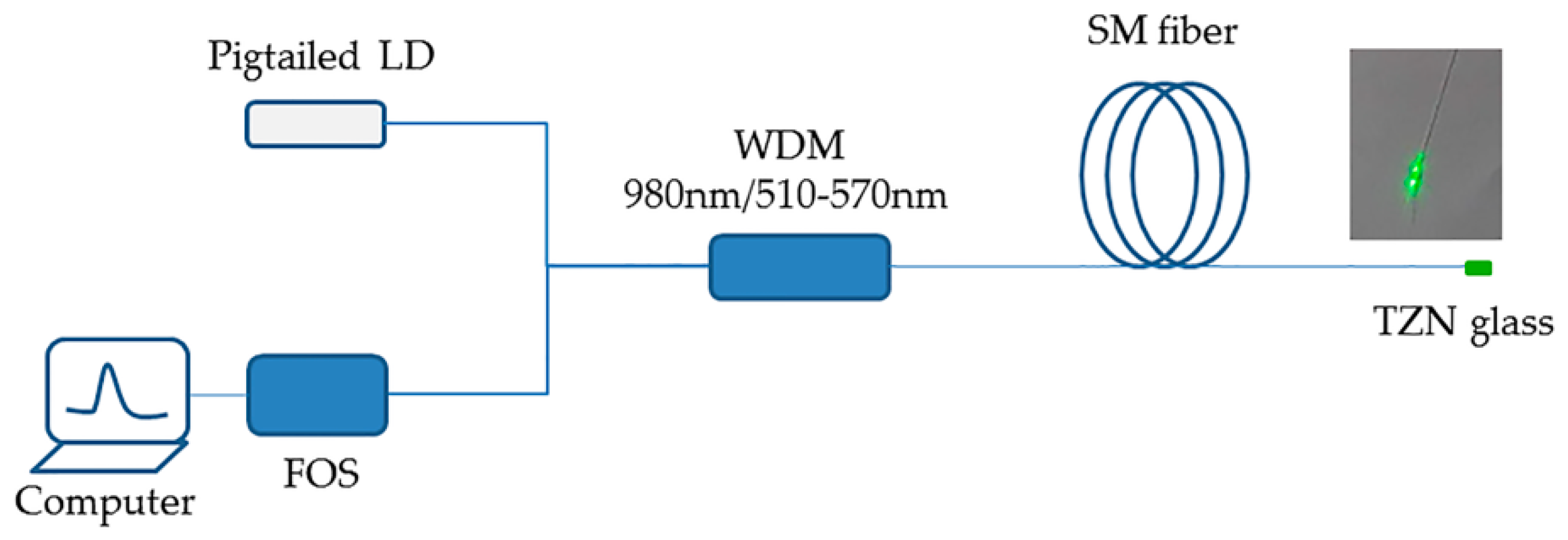 Sensors 17 01253 g001