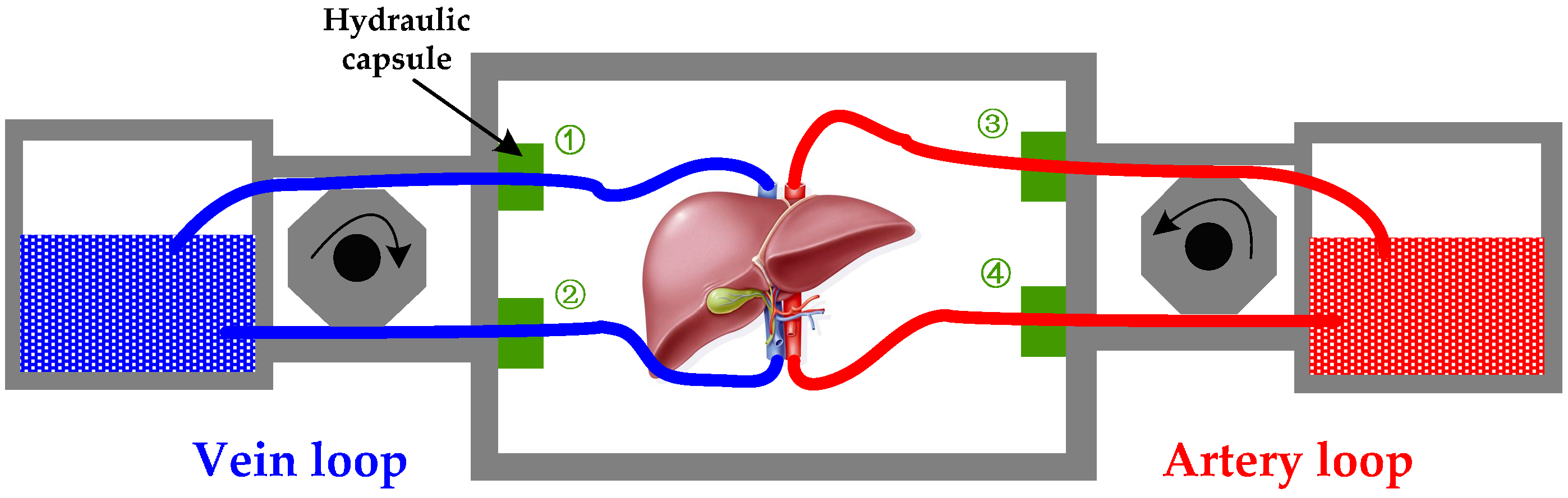 Sensors 17 01256 g004