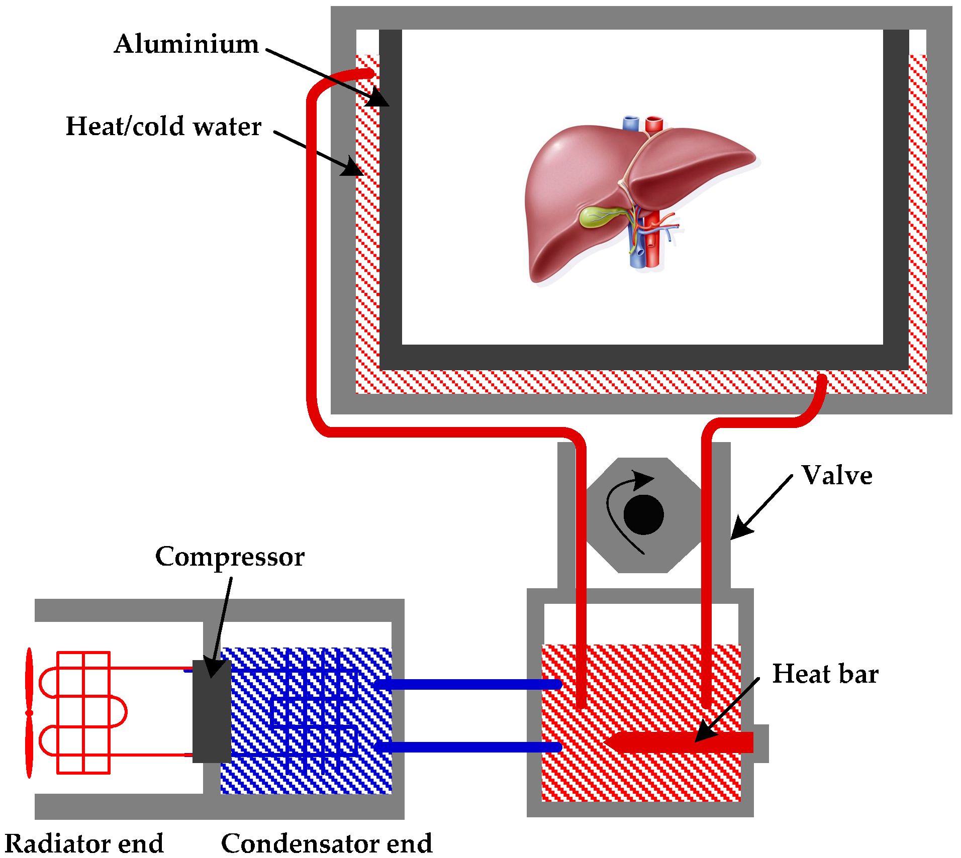 Sensors 17 01256 g007