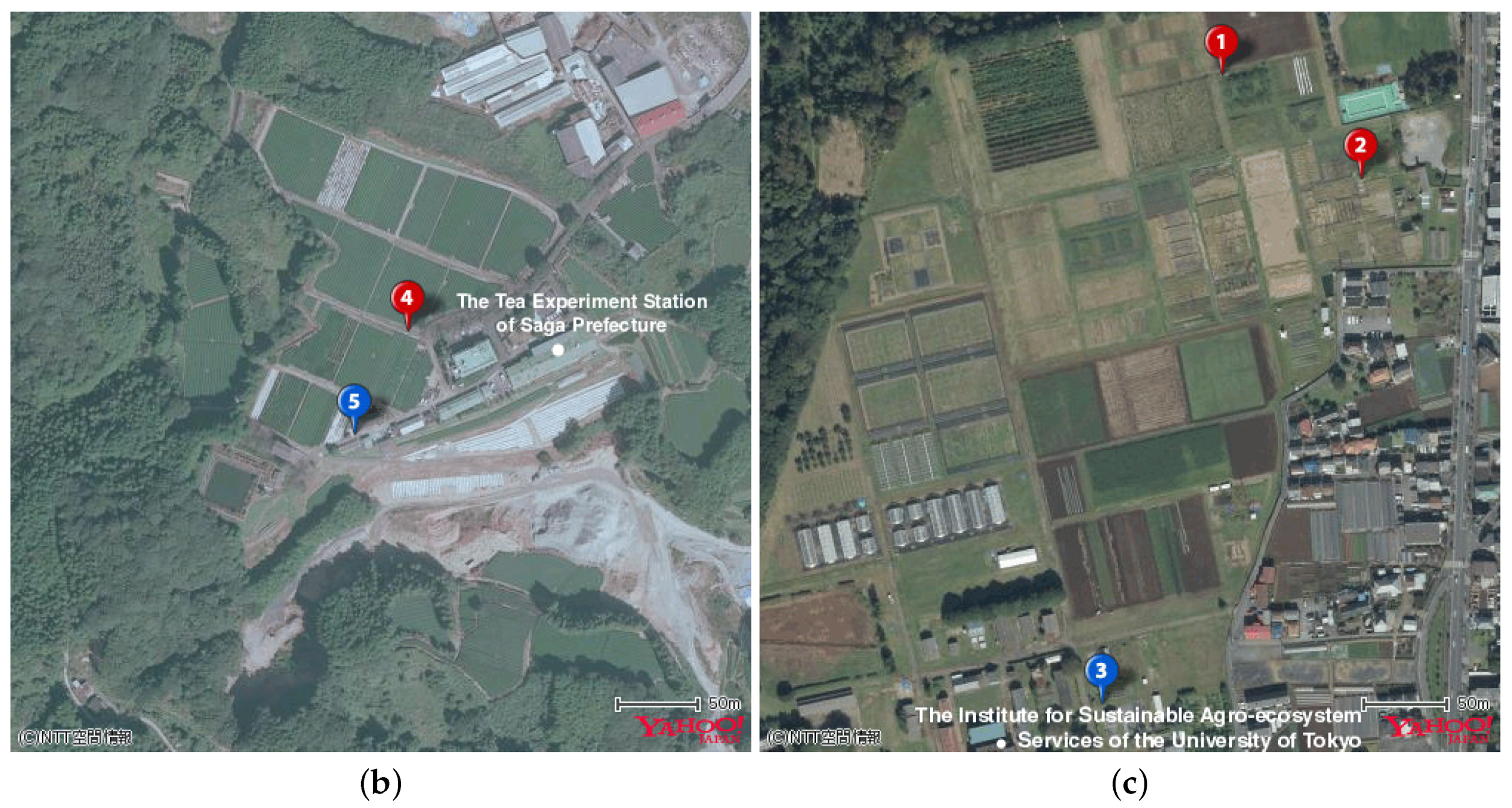 Sensors 17 01290 g003b