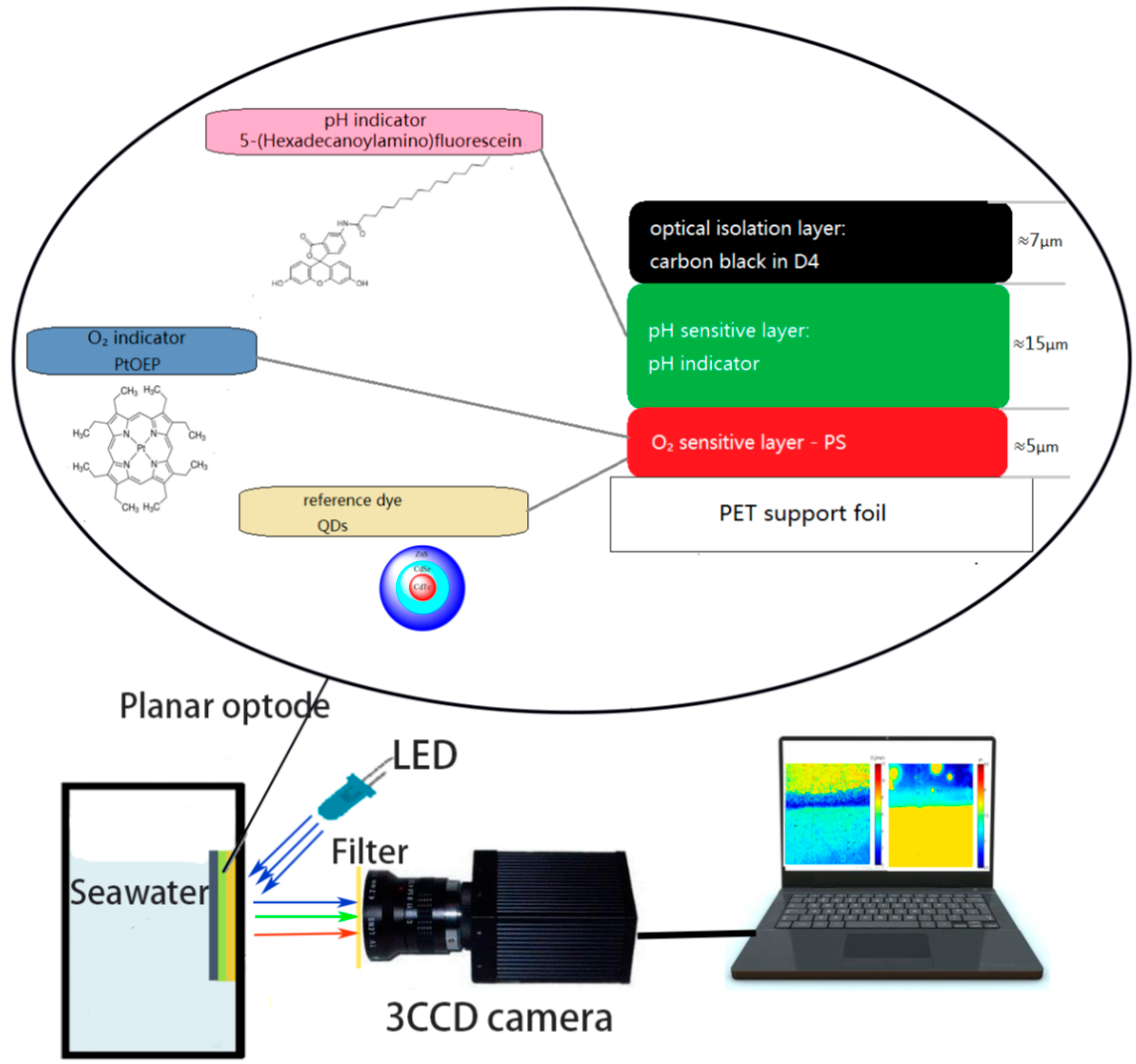 Sensors 17 01316 g001