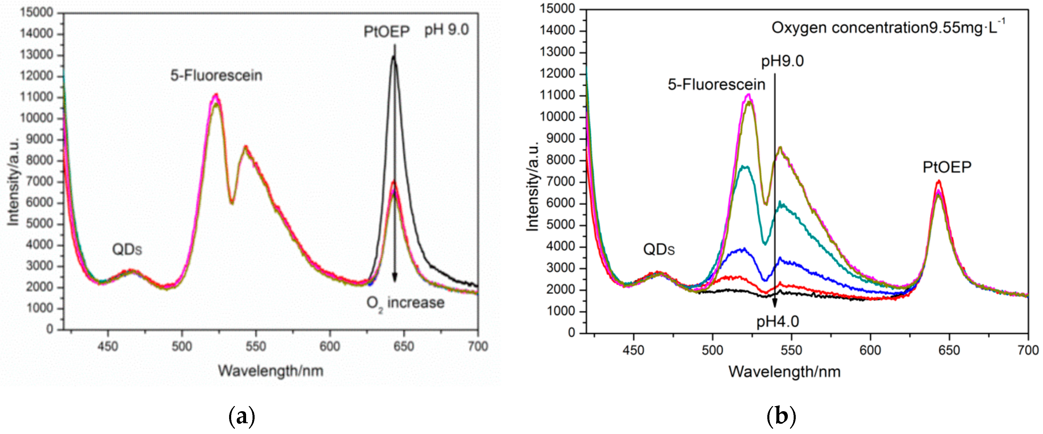 Sensors 17 01316 g005