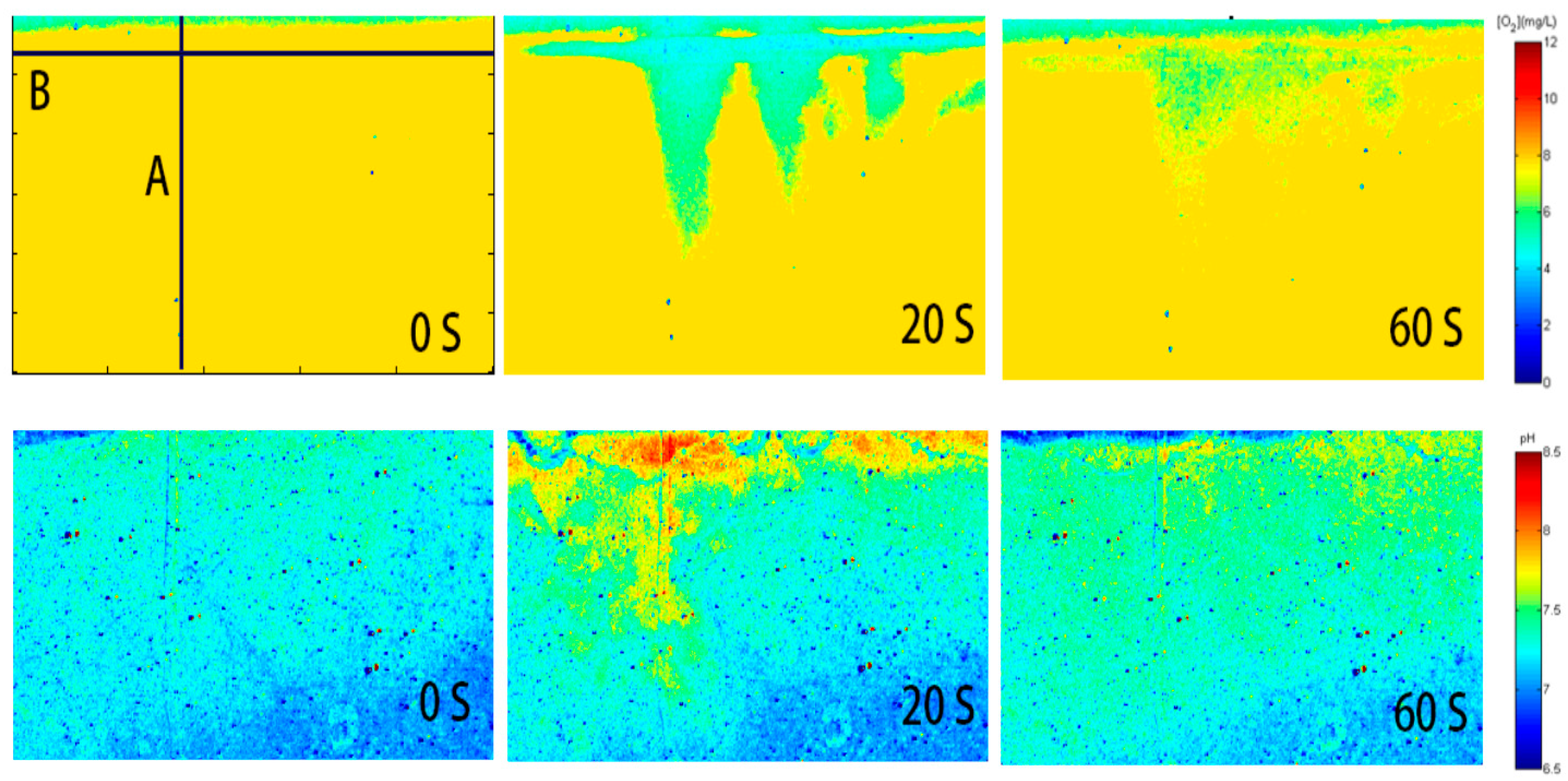 Sensors 17 01316 g007