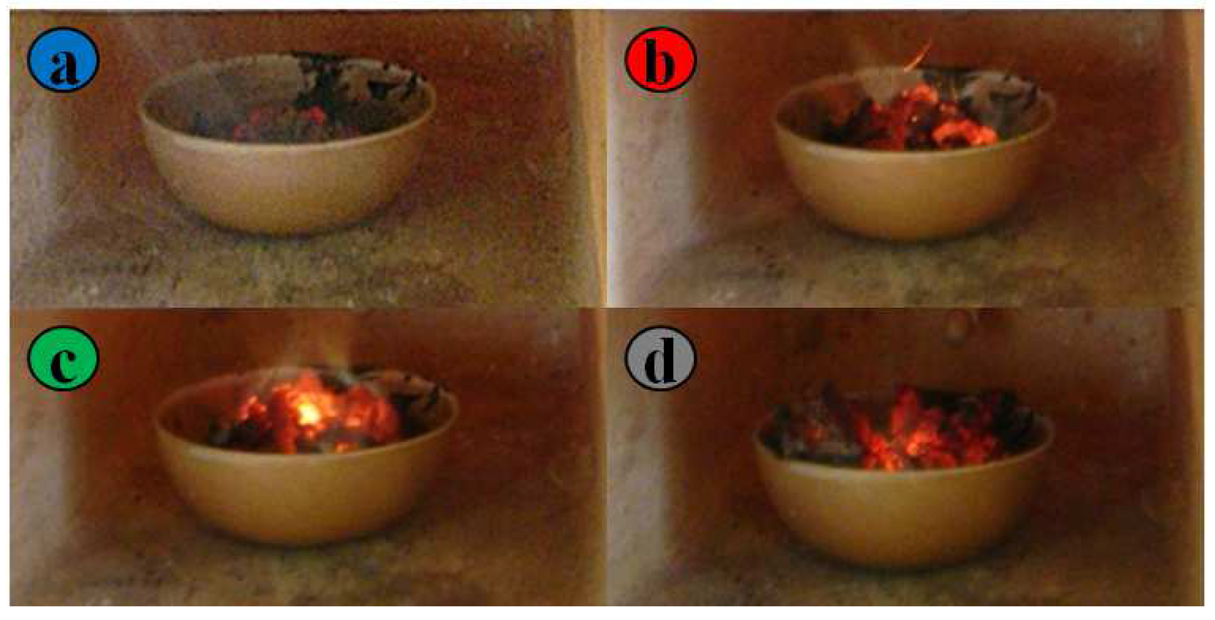 Sensors 17 01352 g001