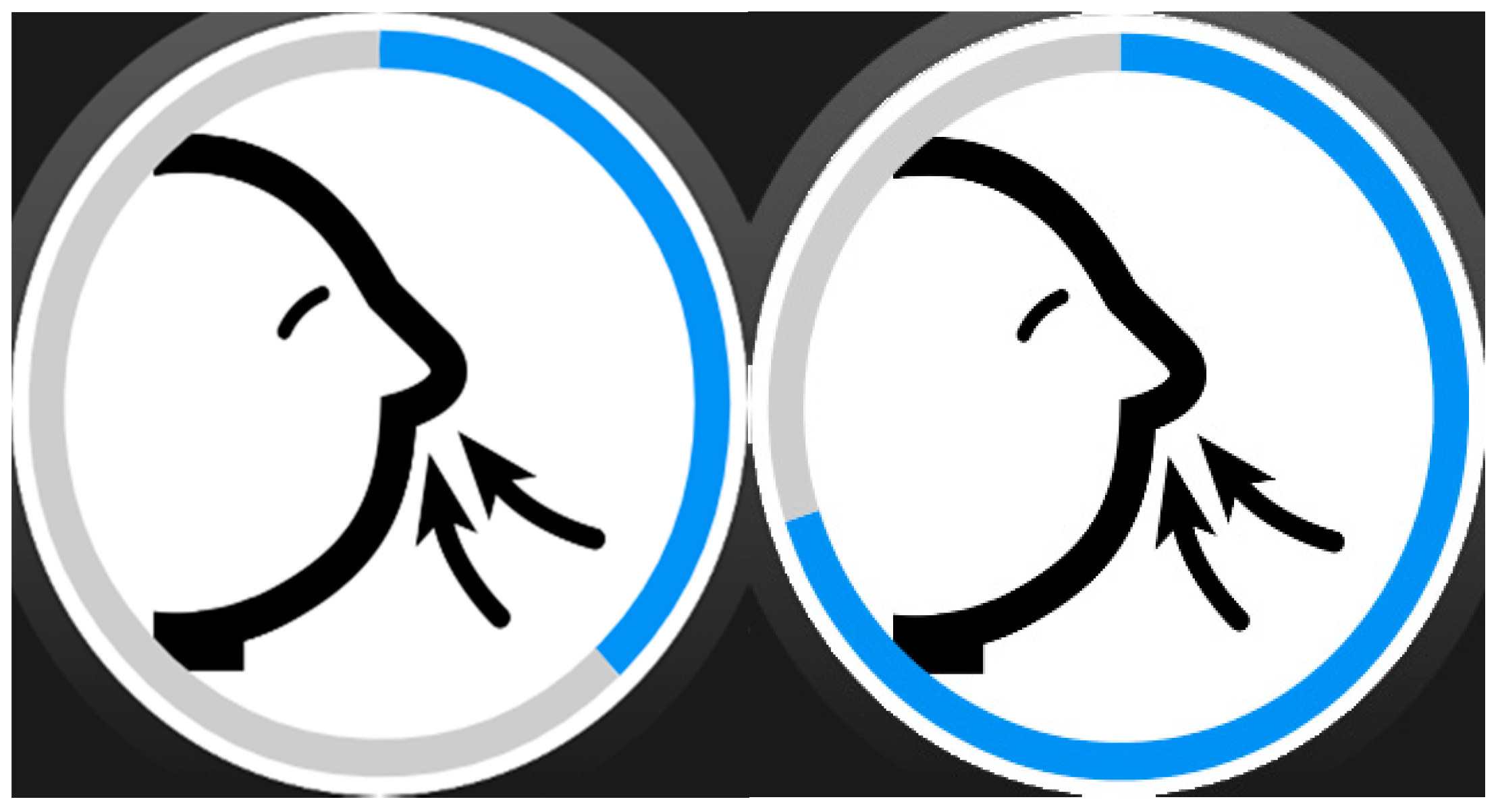 Sensors 17 01359 g005