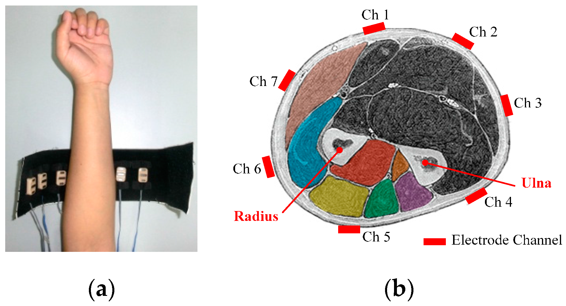 Sensors 17 01370 g008