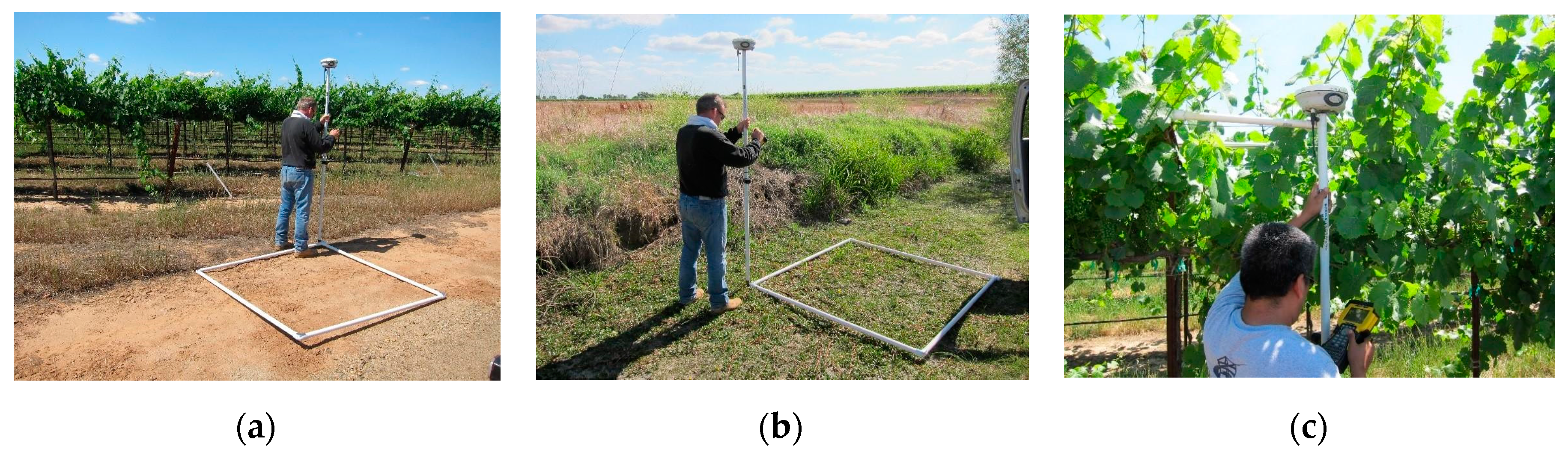 Sensors 17 01499 g006