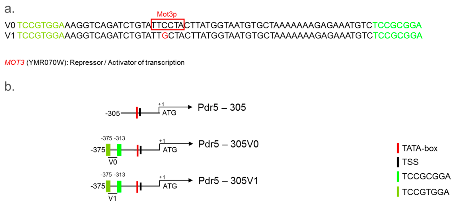 Sensors 17 01506 g002