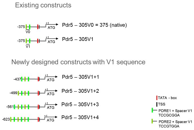 Sensors 17 01506 g004