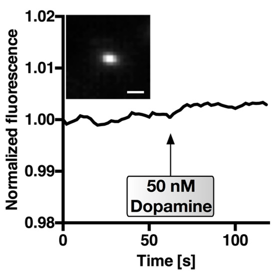 Sensors 17 01521 g010 550