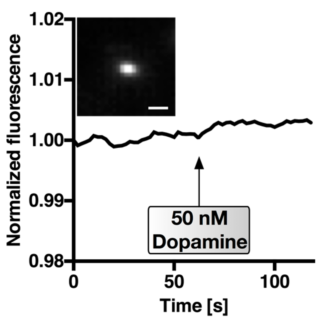 Sensors 17 01521 g010