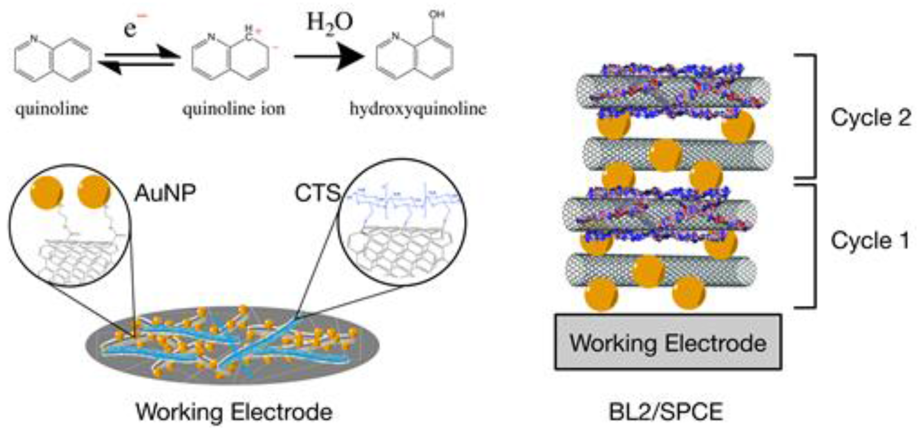 Sensors 17 01538 g001