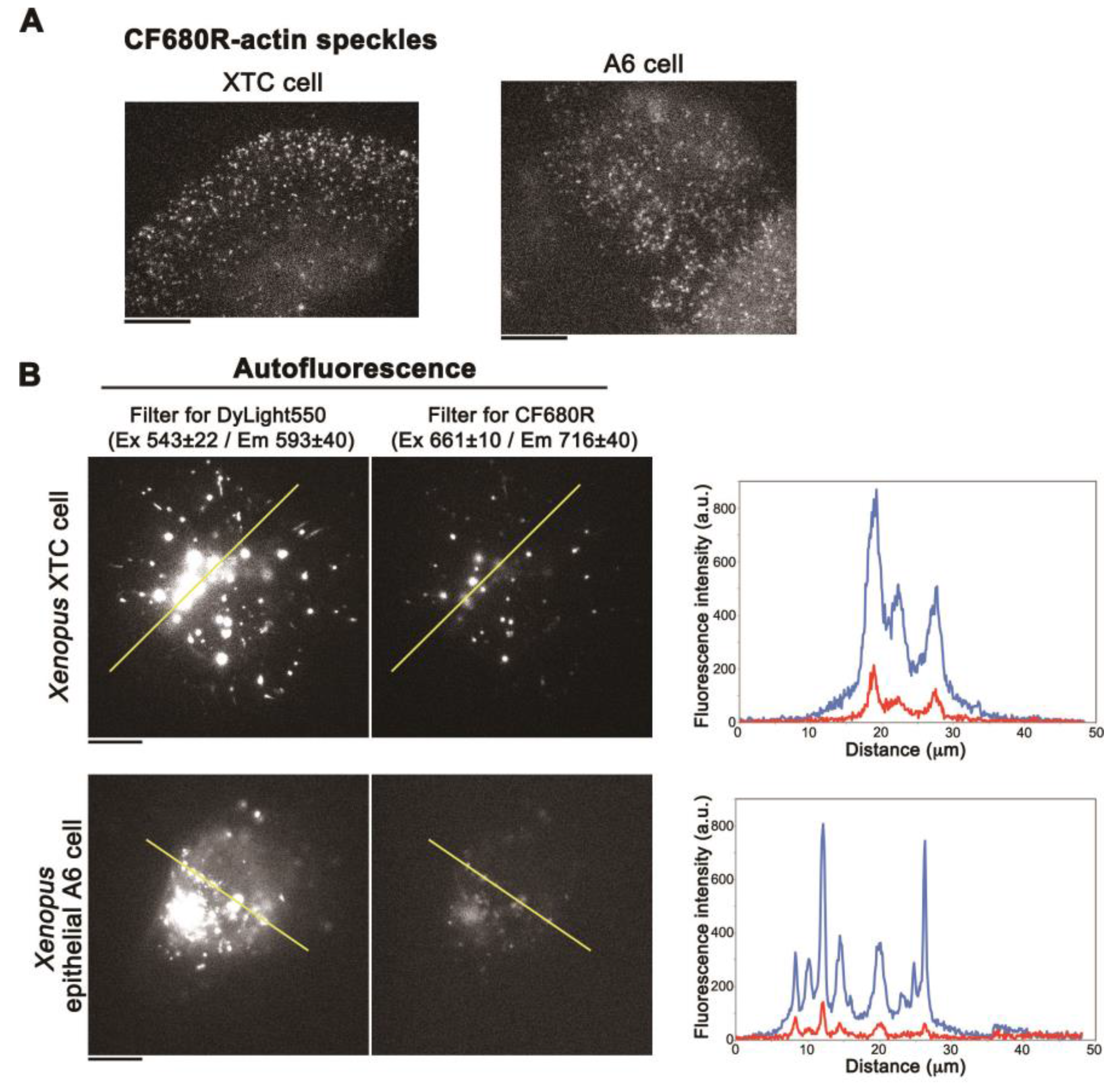 Sensors 17 01545 g003