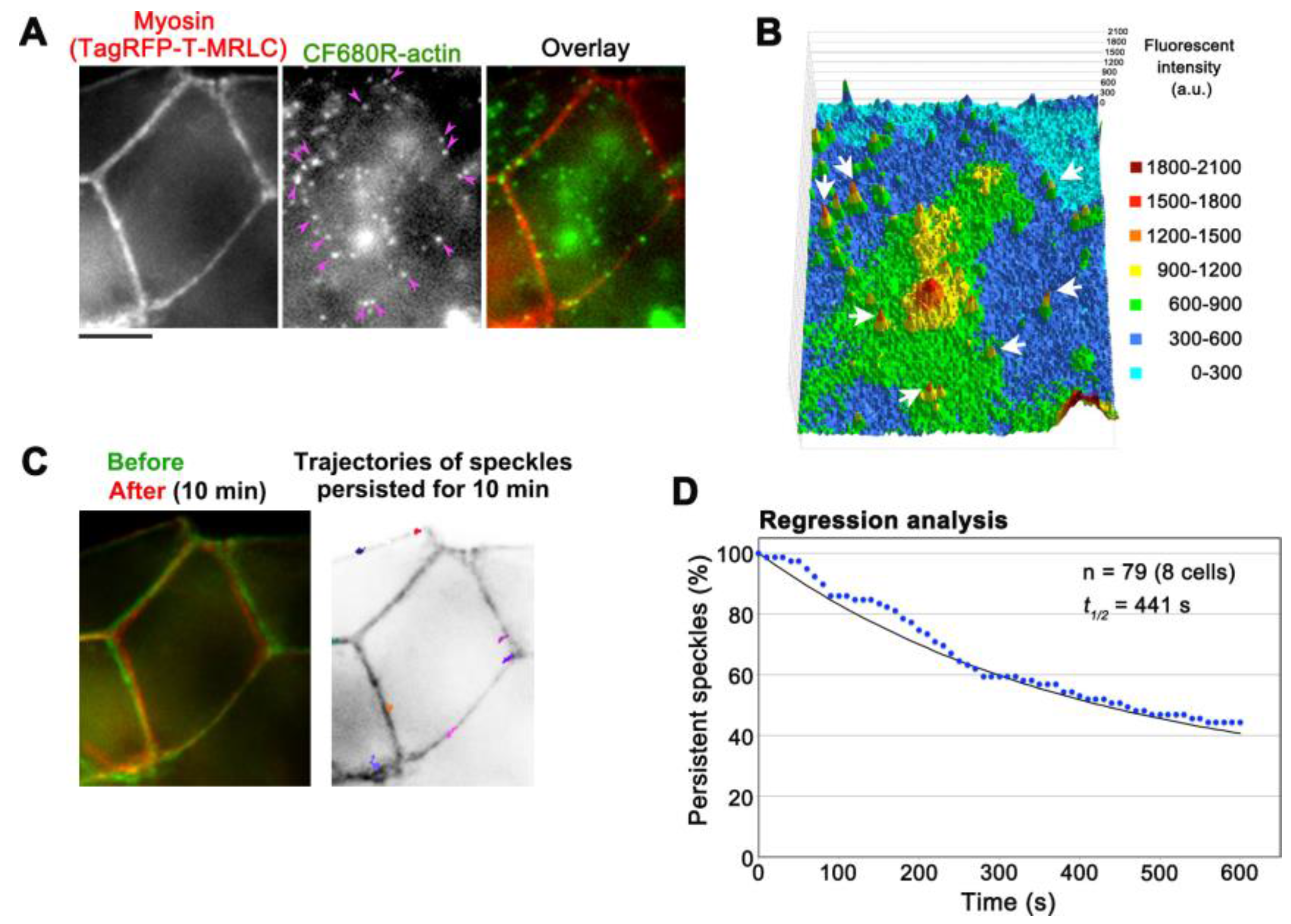 Sensors 17 01545 g005