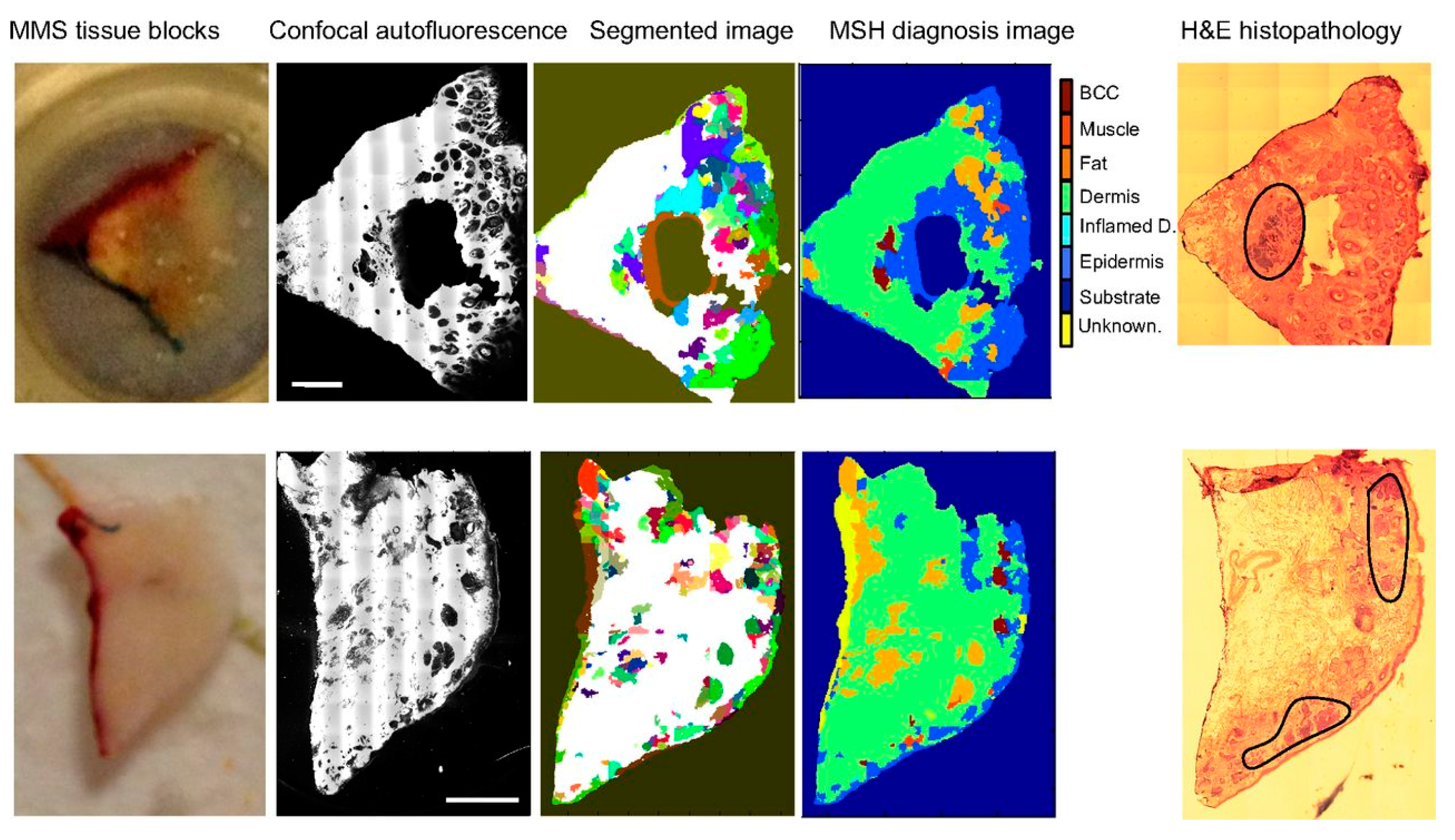 Sensors 17 01592 g001