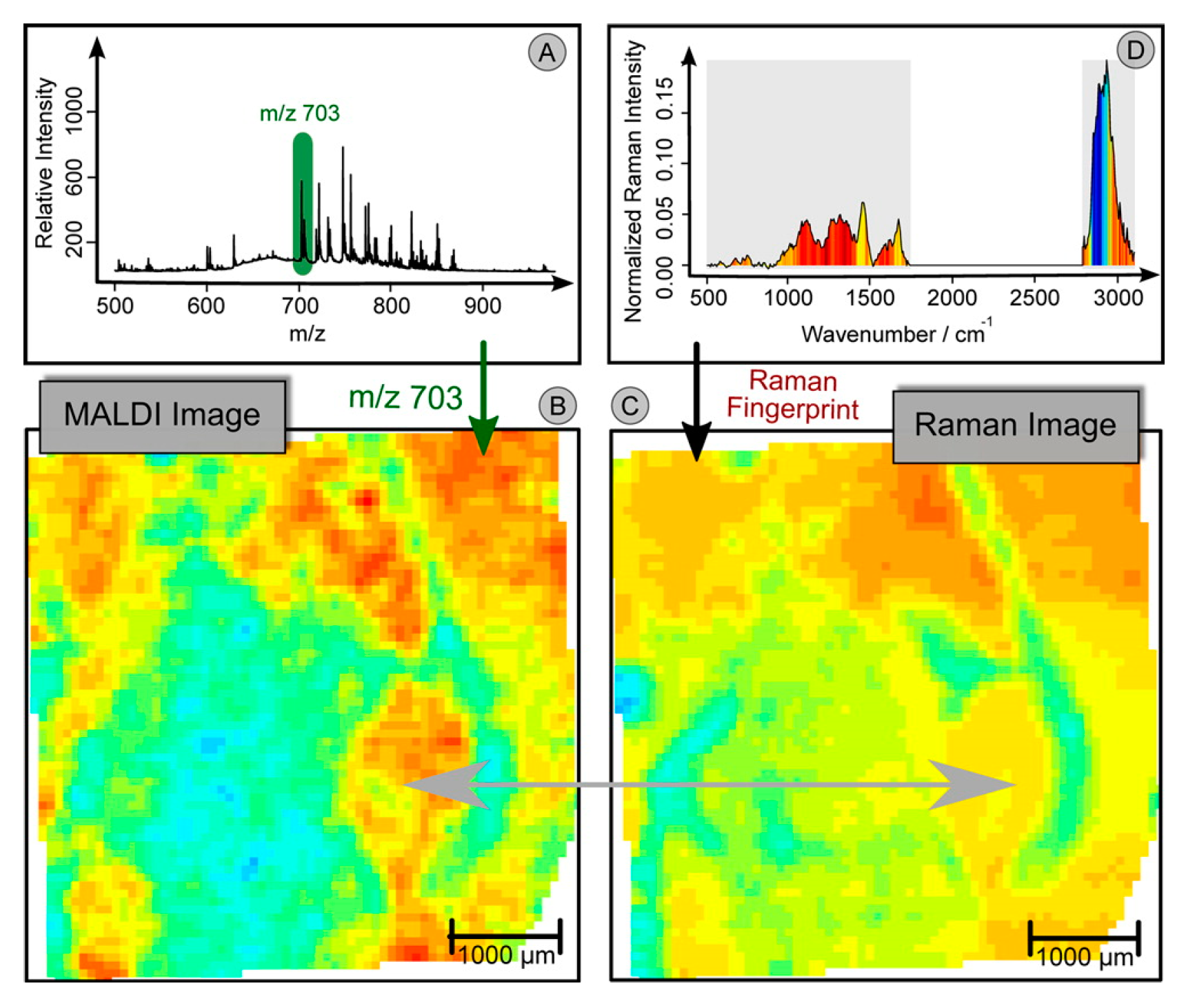 Sensors 17 01592 g004