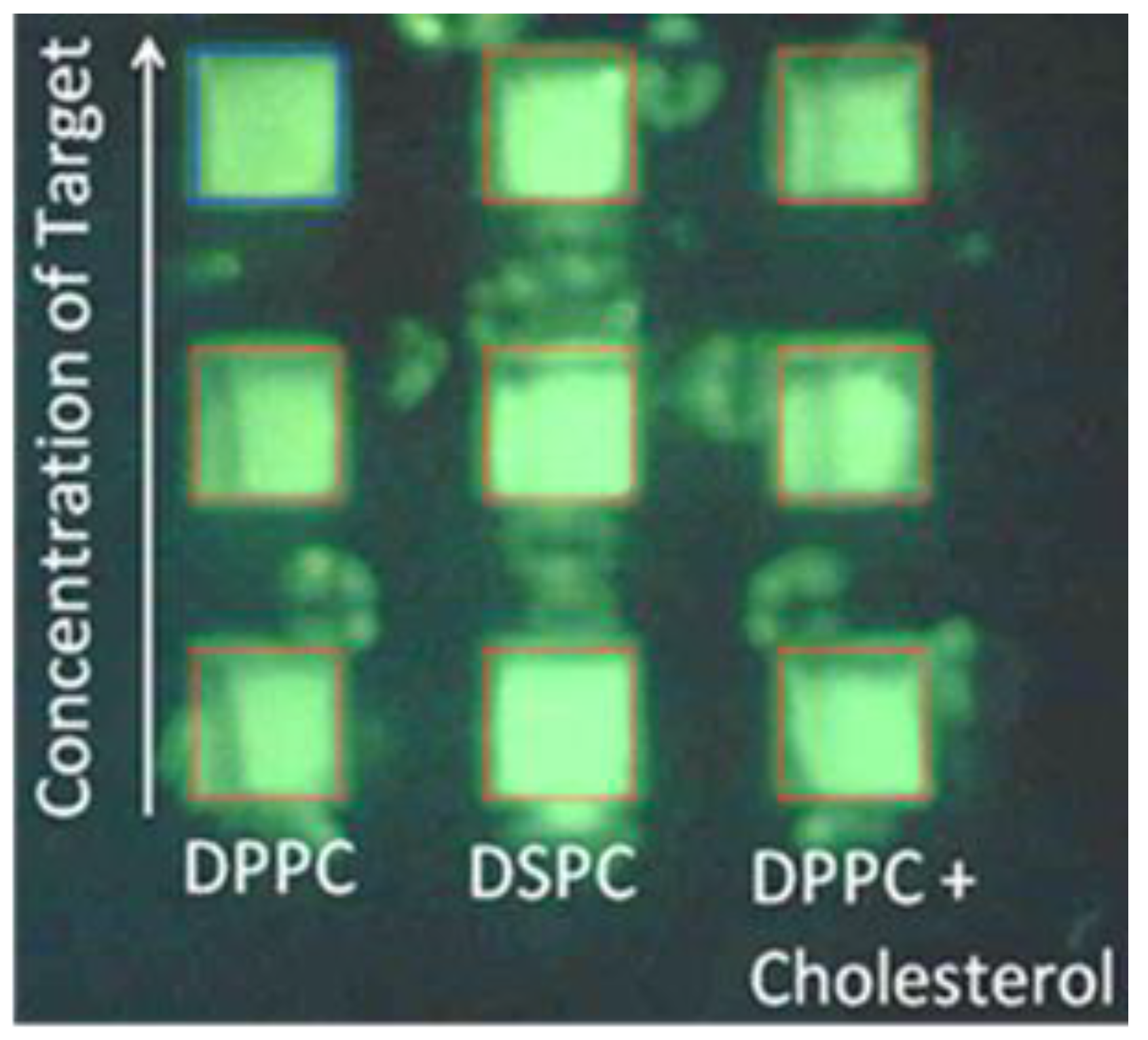 Sensors 17 01630 g002