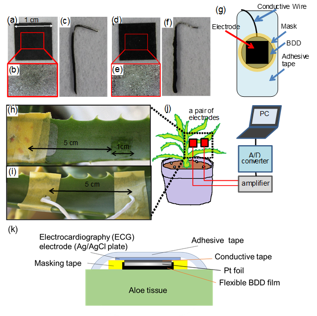 Sensors 17 01638 g001