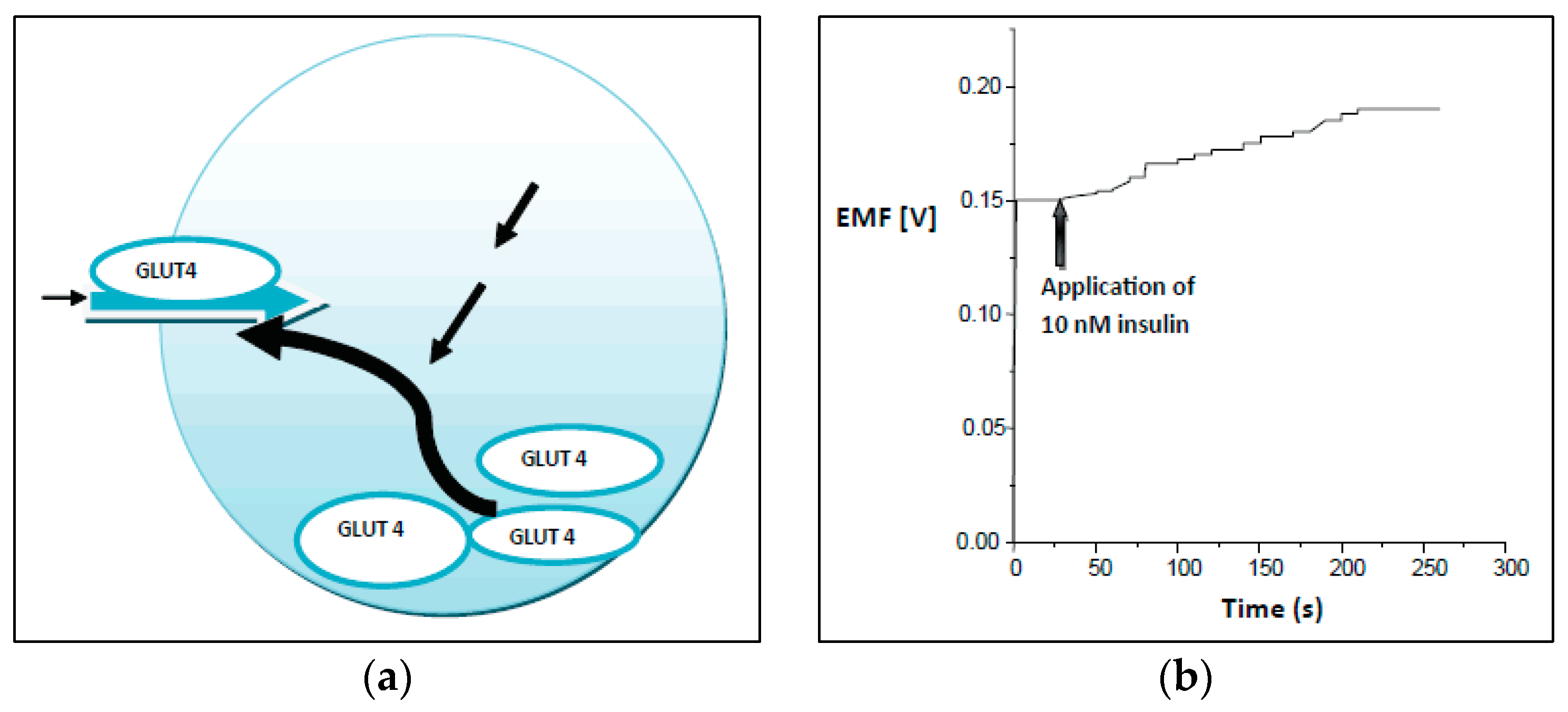 Sensors 17 01645 g006