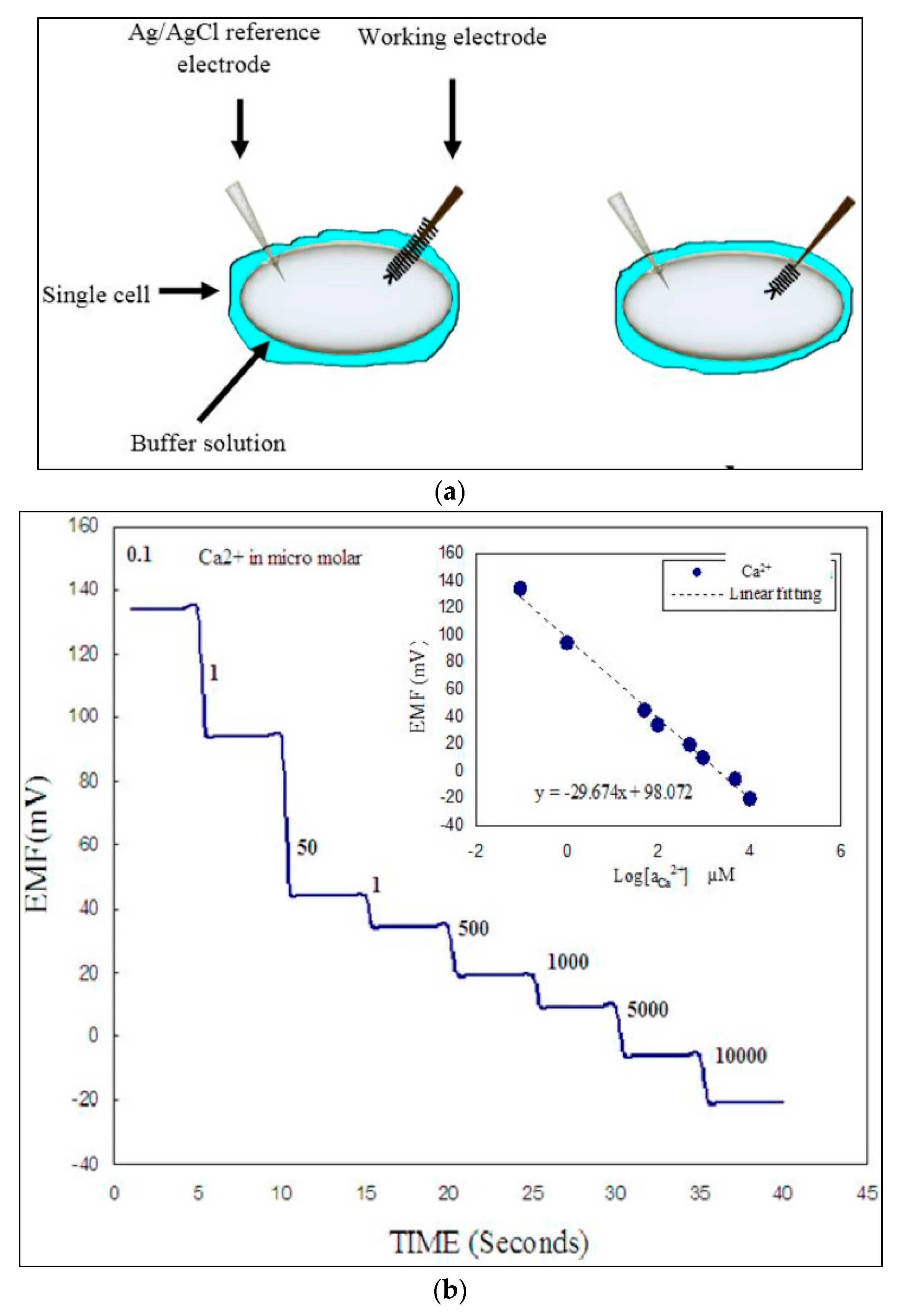 Sensors 17 01645 g011