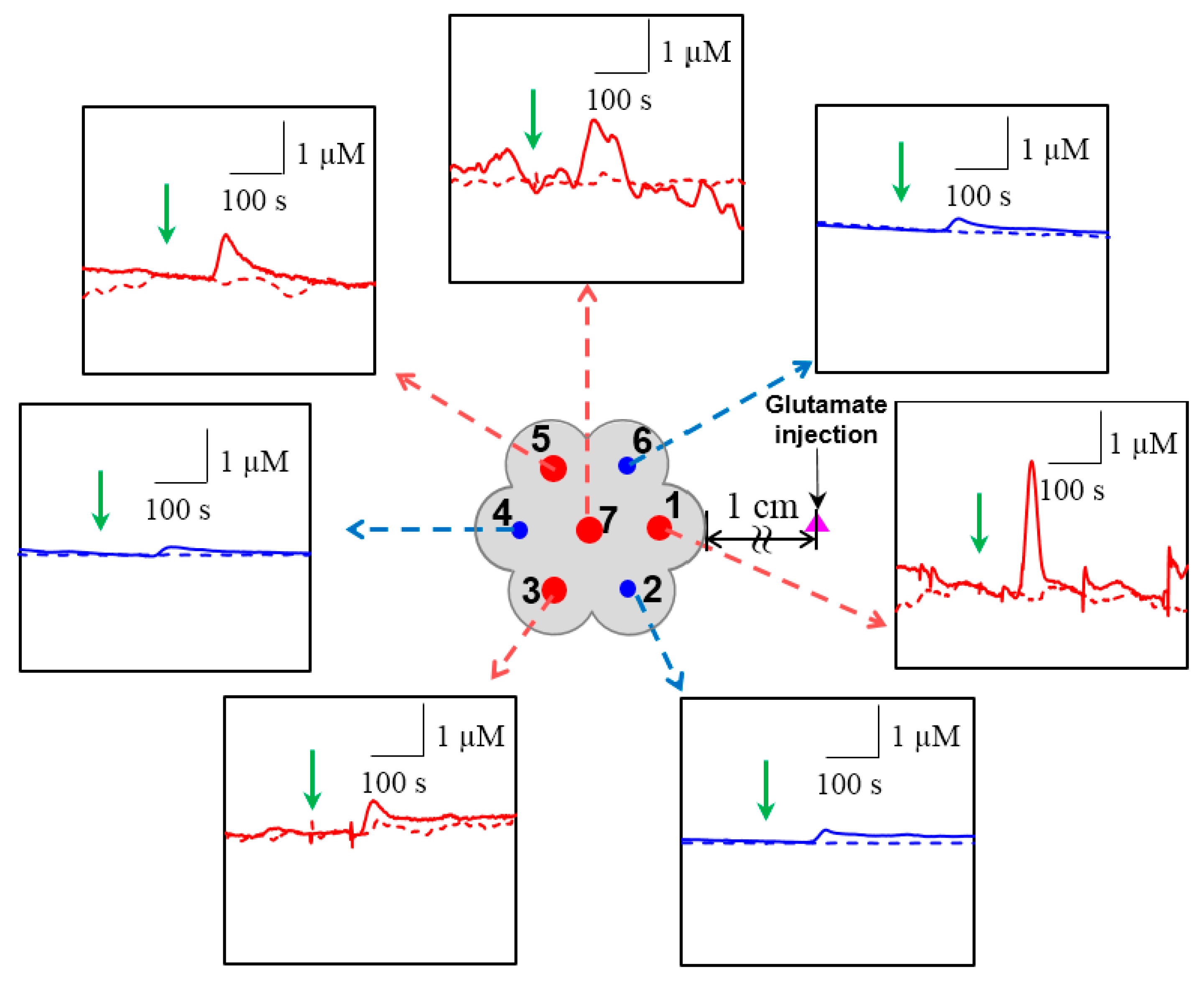 Sensors 17 01661 g004