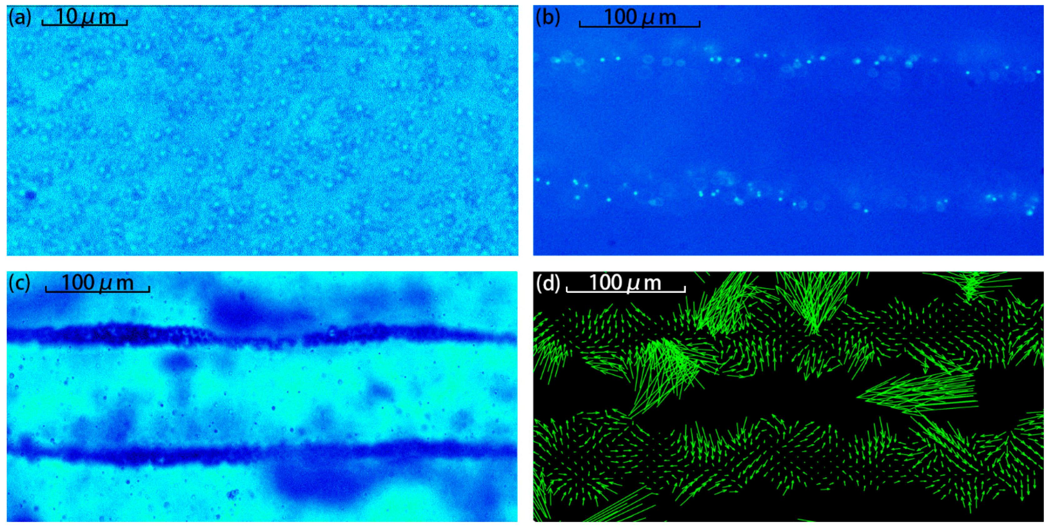 Sensors 17 01664 g003