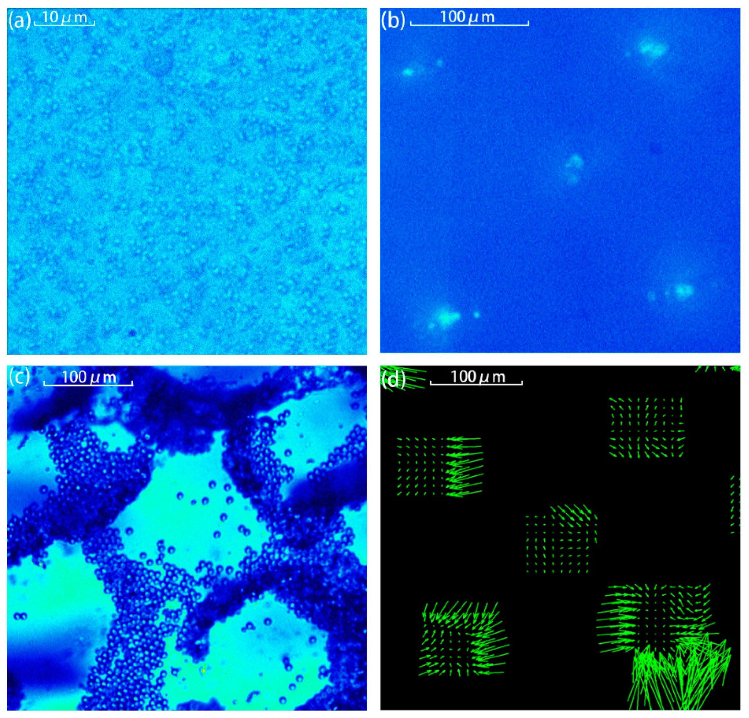Sensors 17 01664 g006
