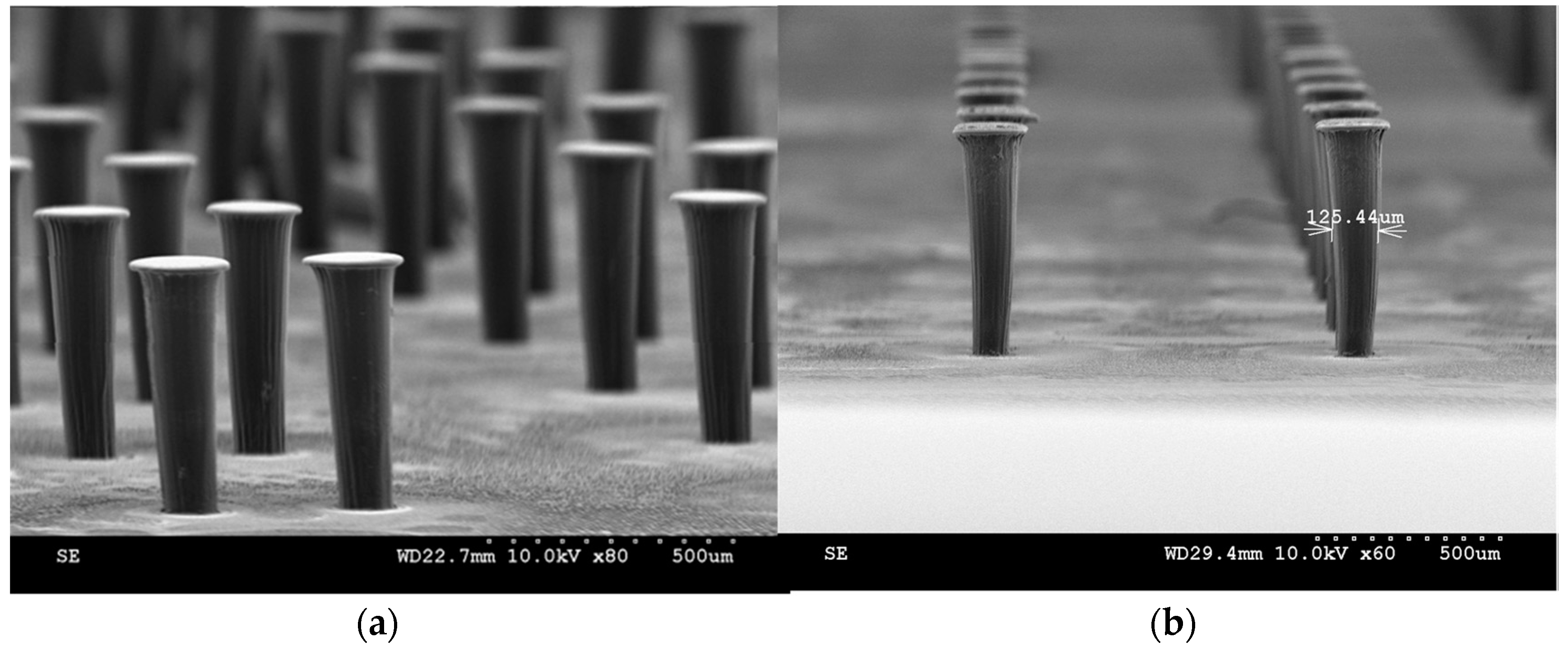 Sensors 17 01728 g005
