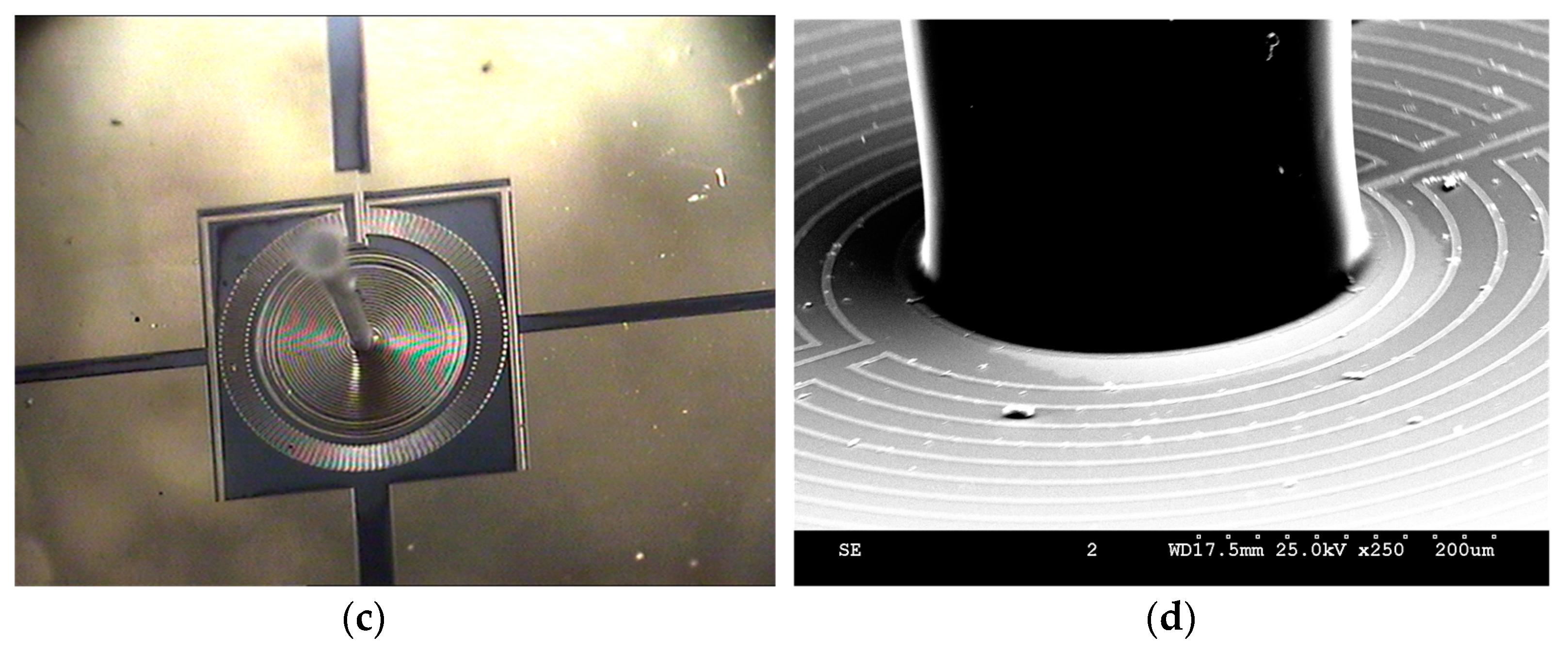 Sensors 17 01728 g006b