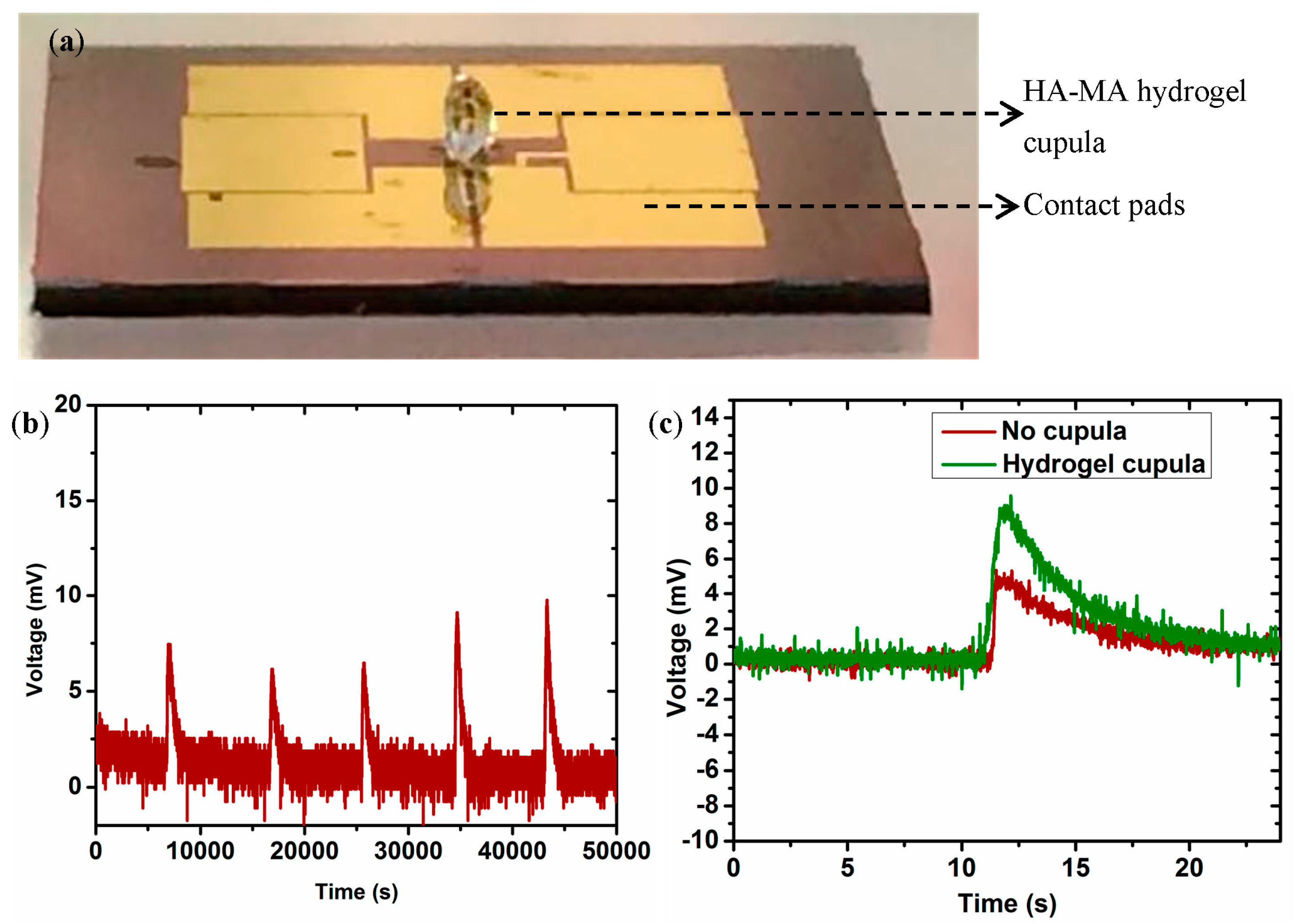 Sensors 17 01728 g008