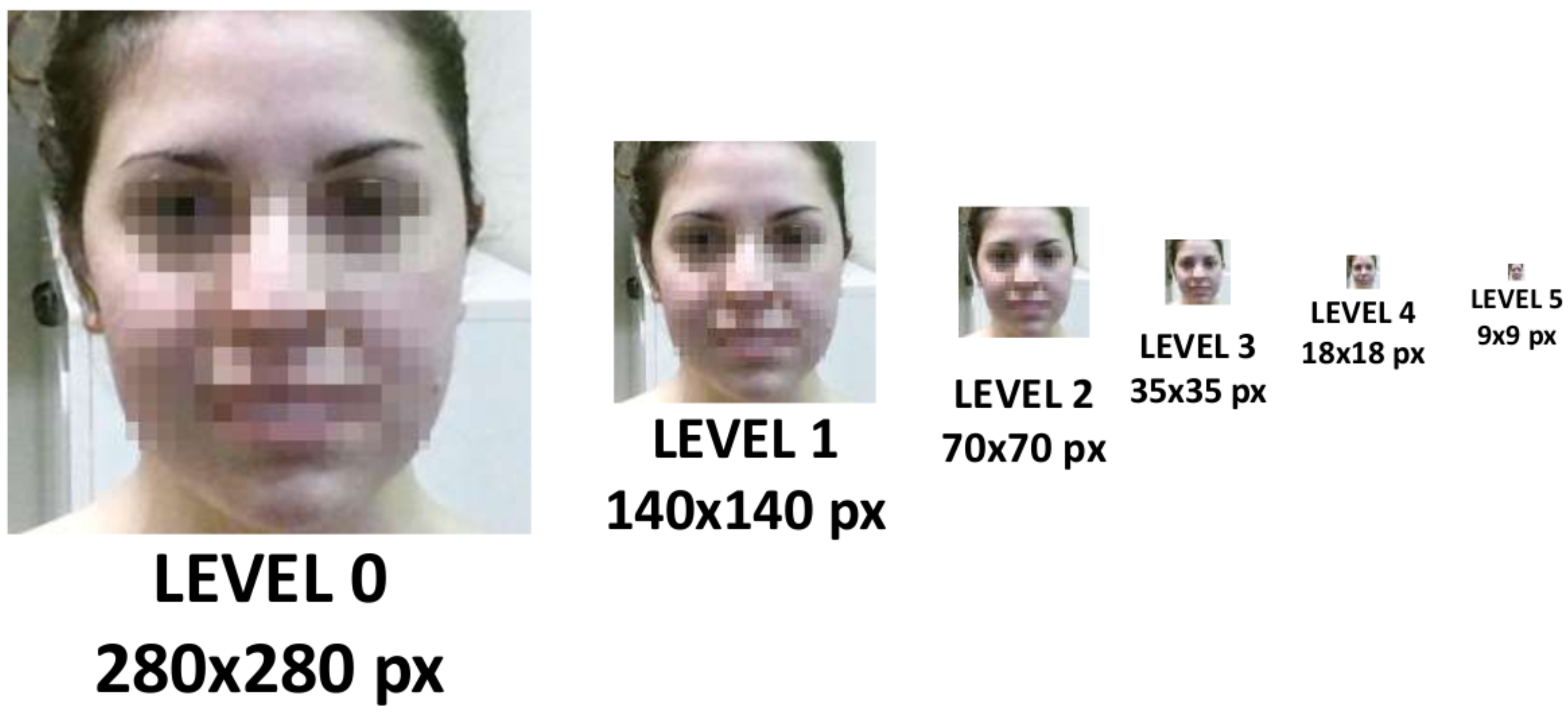 Sensors 17 01776 g002