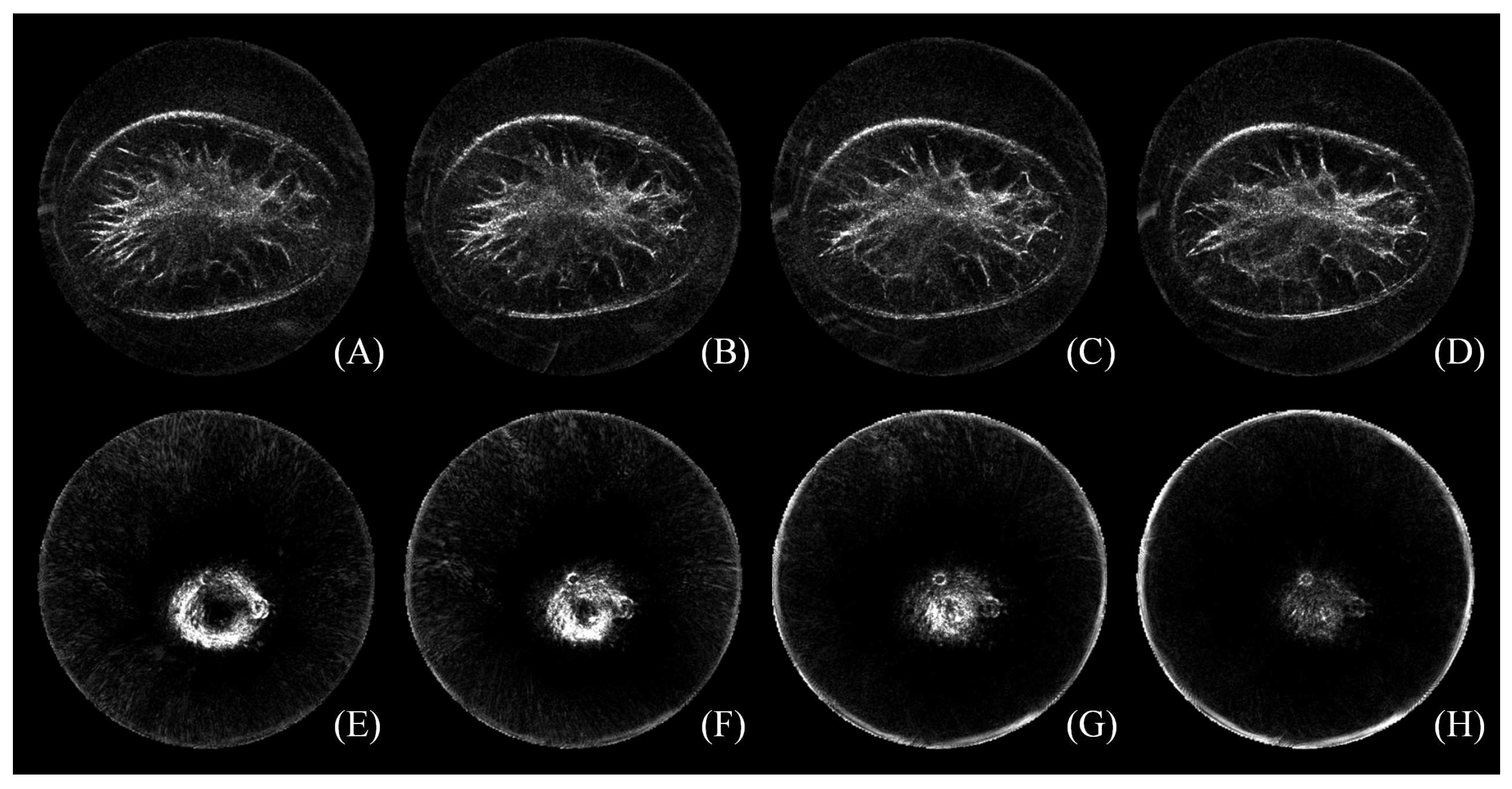 Sensors 17 01827 g002