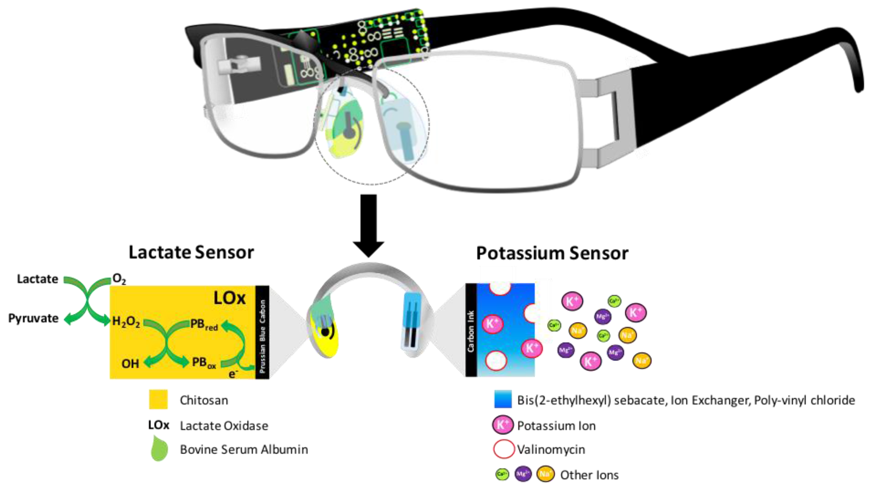 Sensors 17 01866 g004