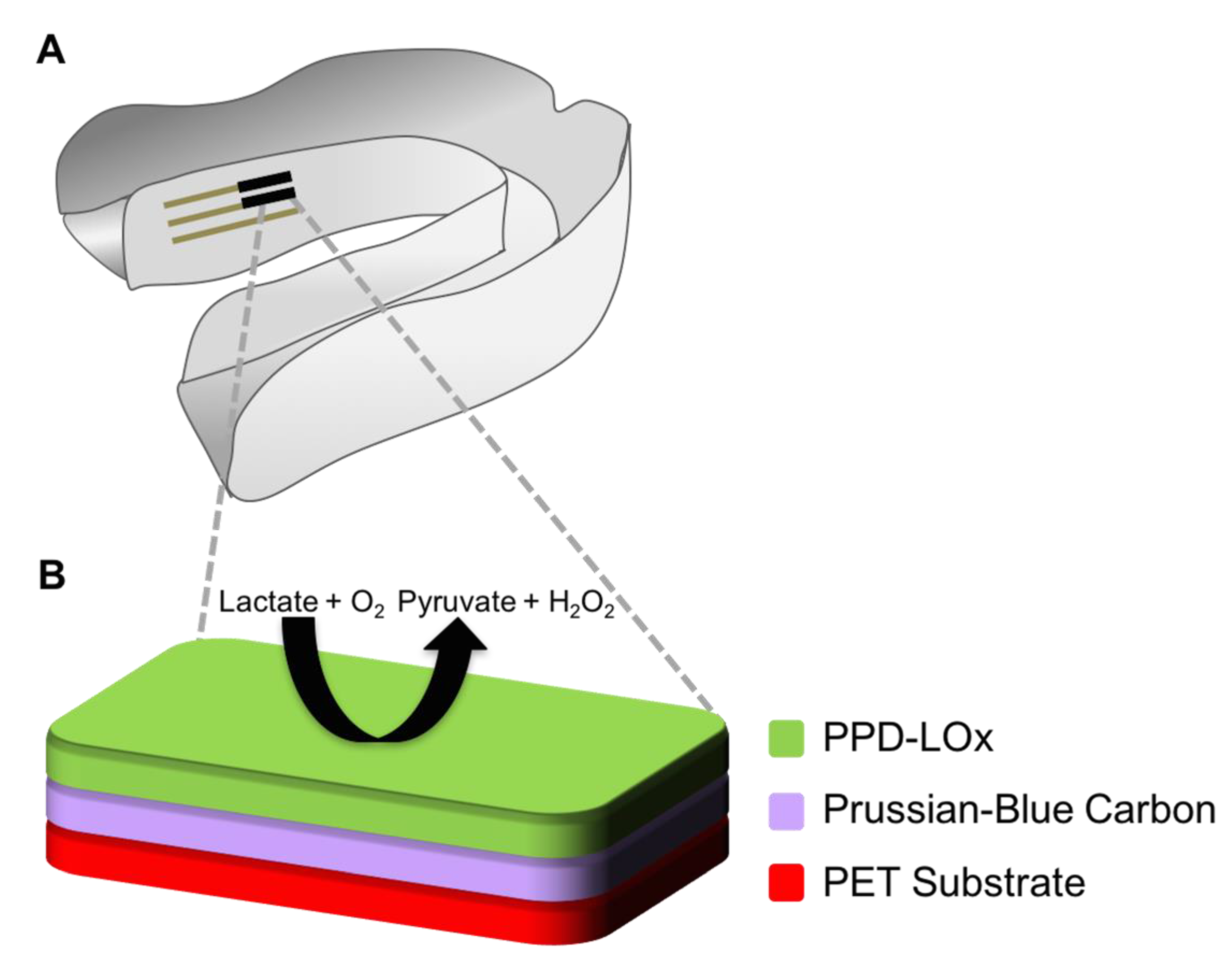 Sensors 17 01866 g006