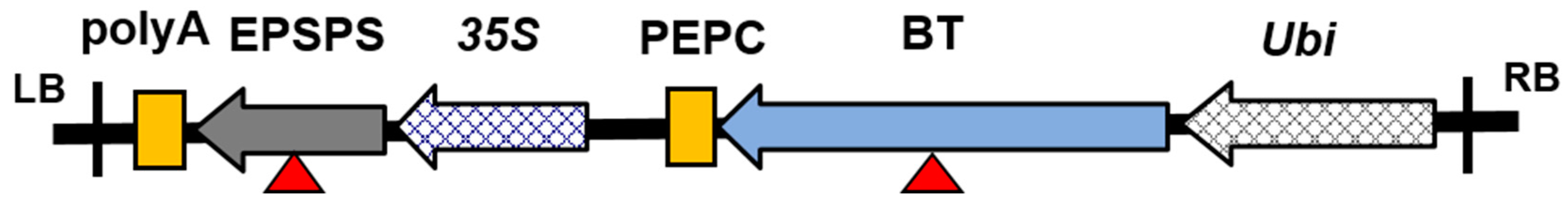 Sensors 17 01894 g001