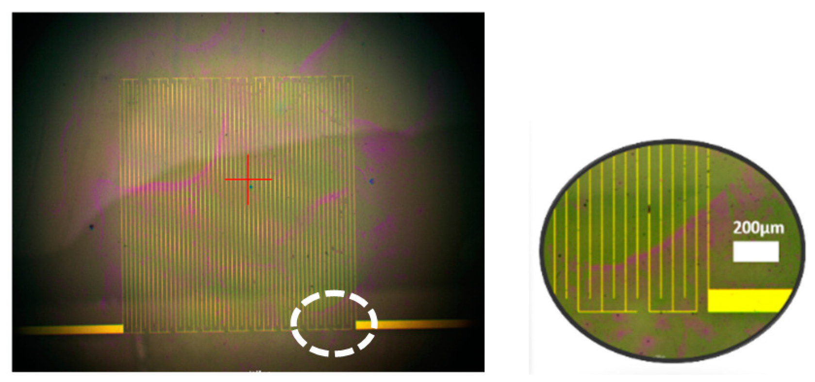 Sensors 17 01942 g002