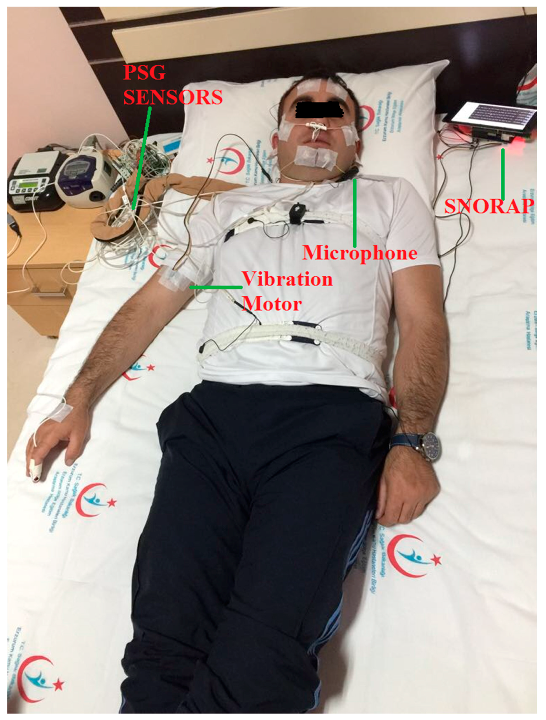 Sensors 17 02006 g006