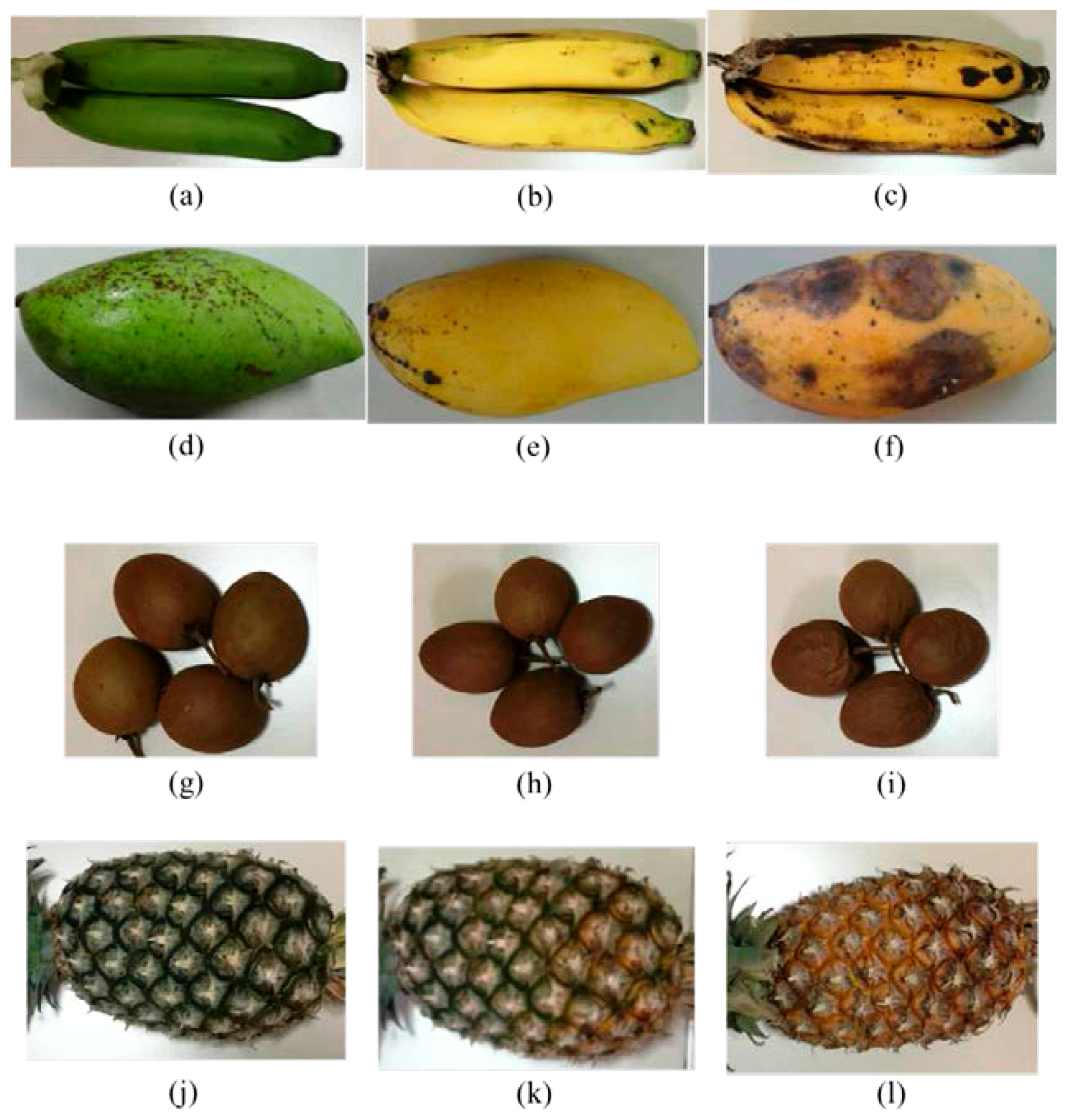 Sensors 17 02089 g002