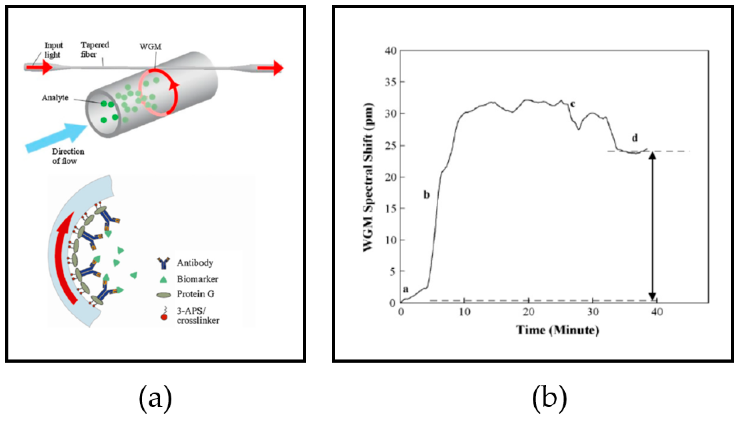 Sensors 17 02095 g009