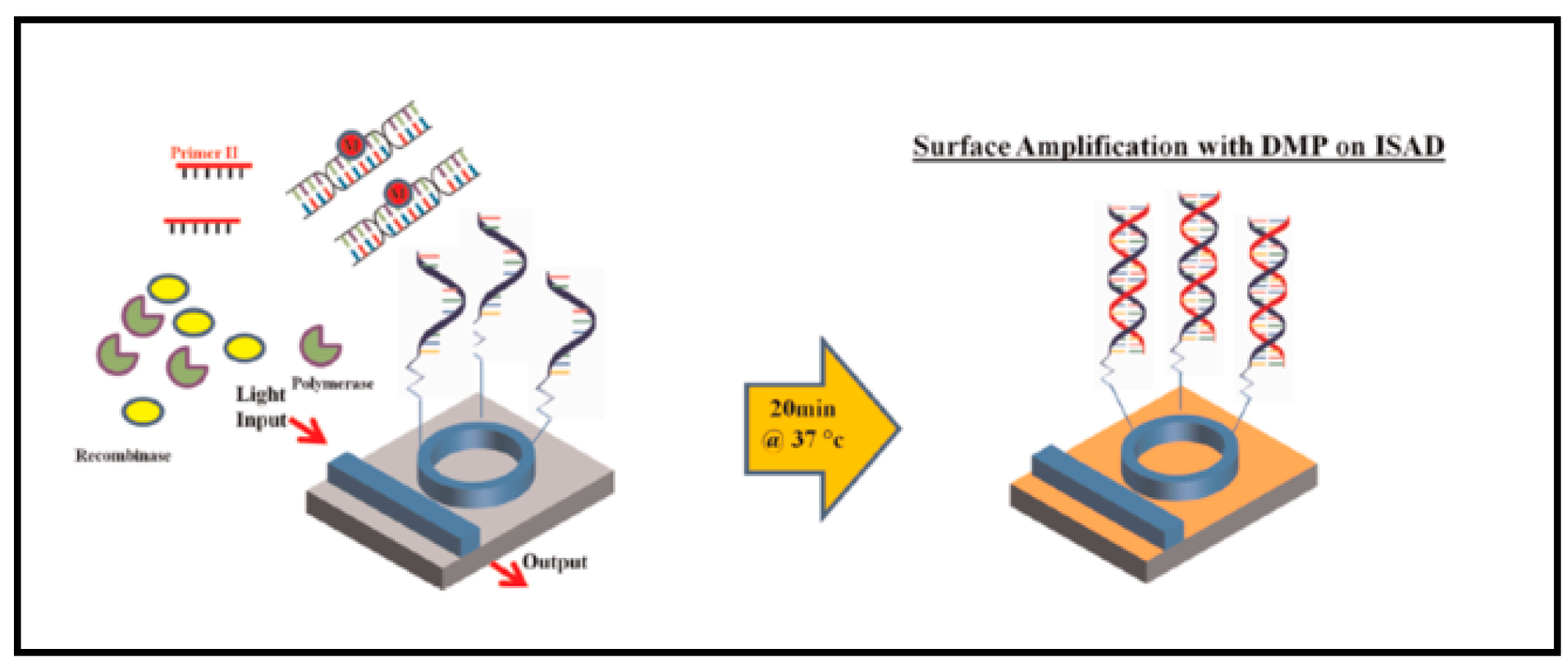 Sensors 17 02095 g010