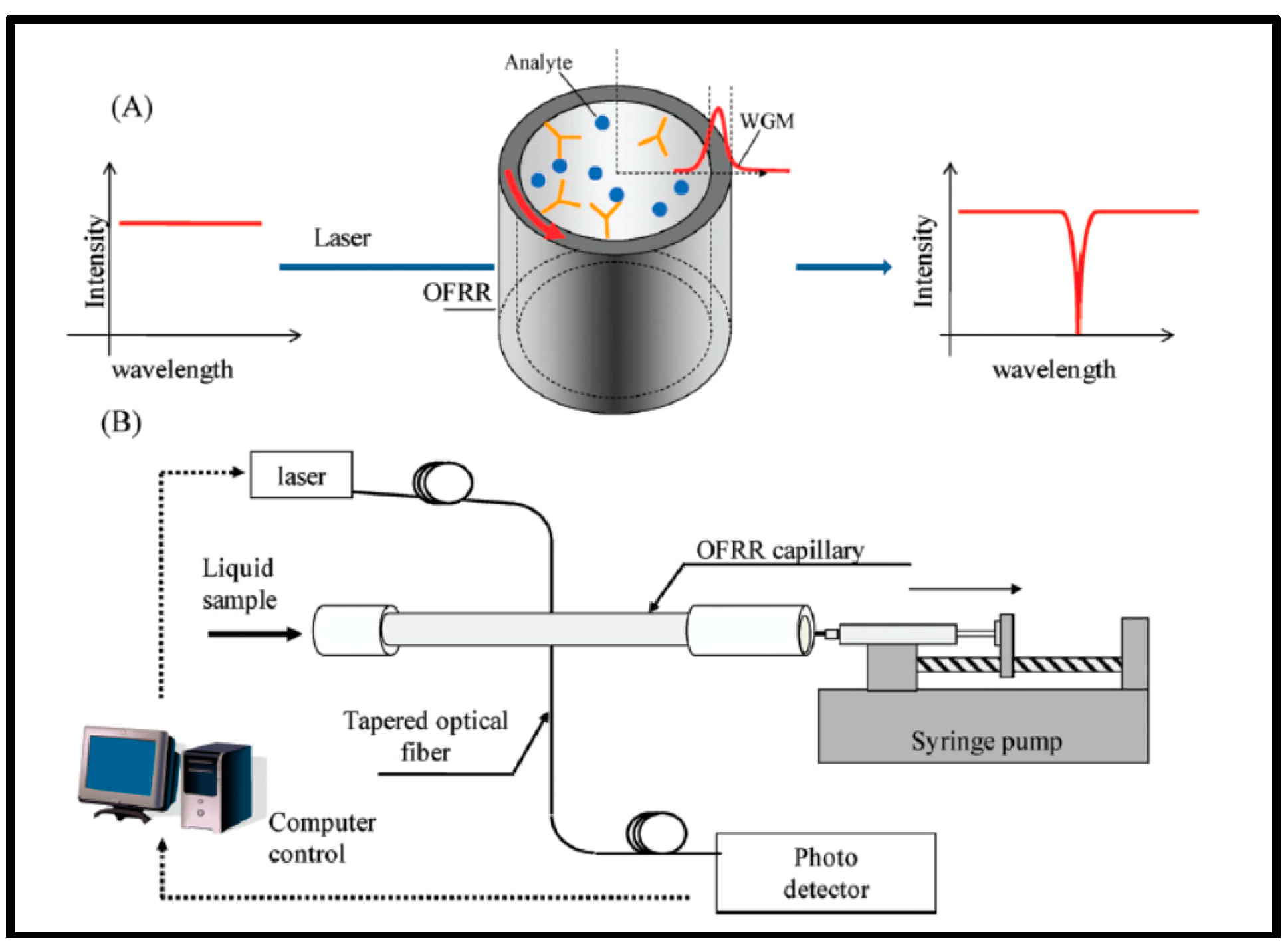 Sensors 17 02095 g011
