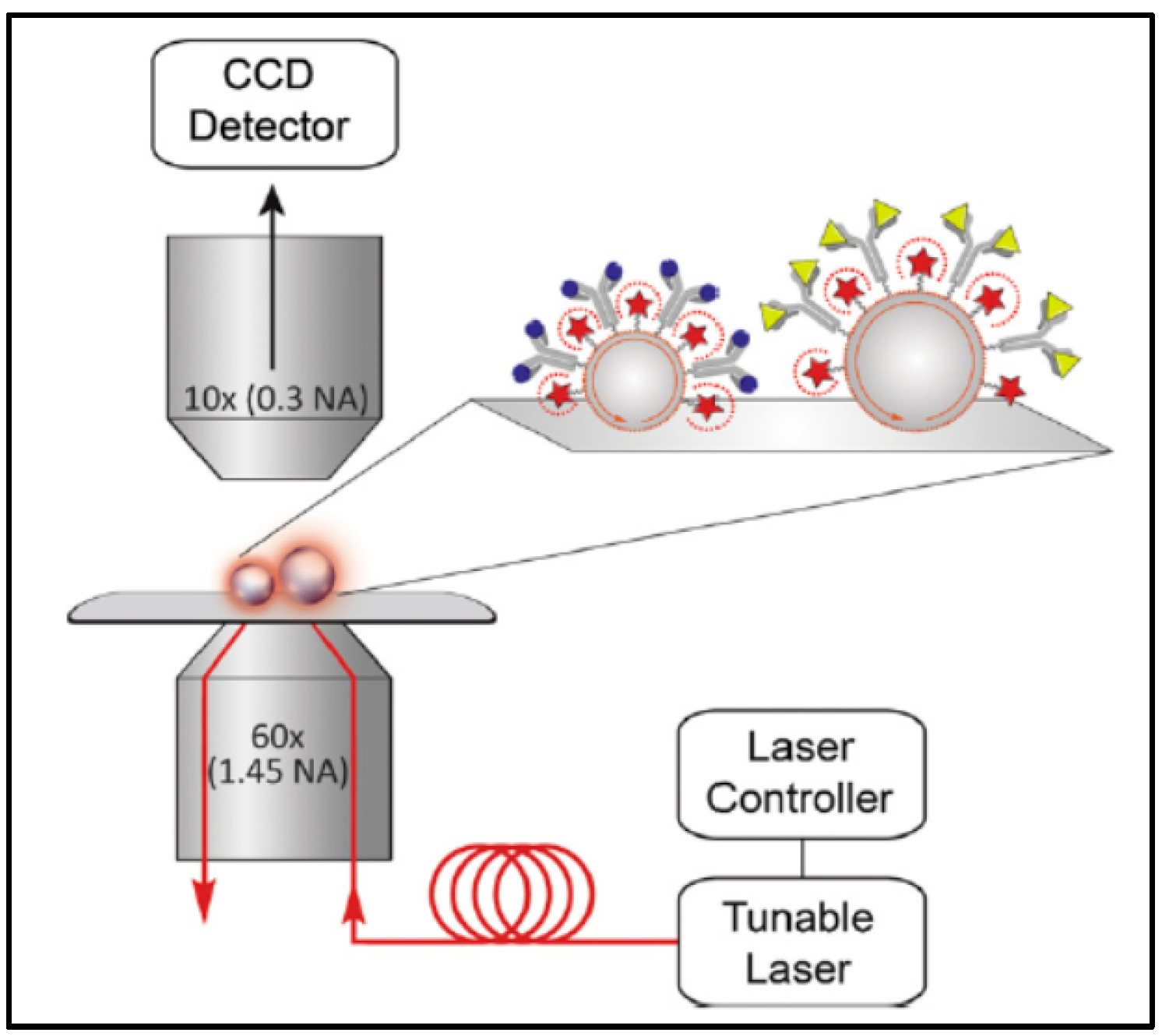 Sensors 17 02095 g012
