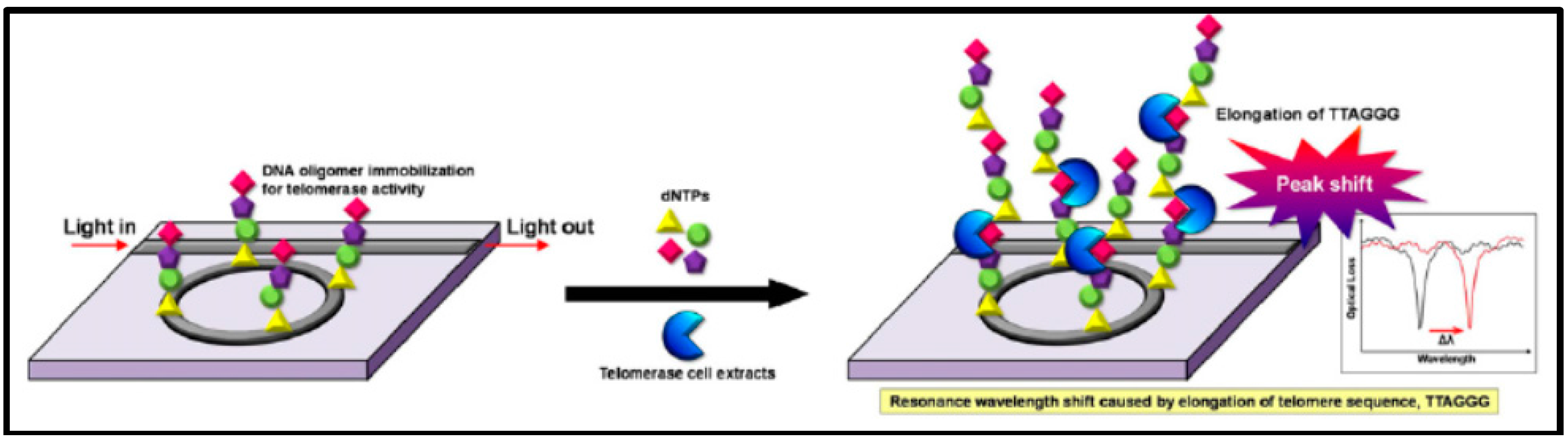 Sensors 17 02095 g015