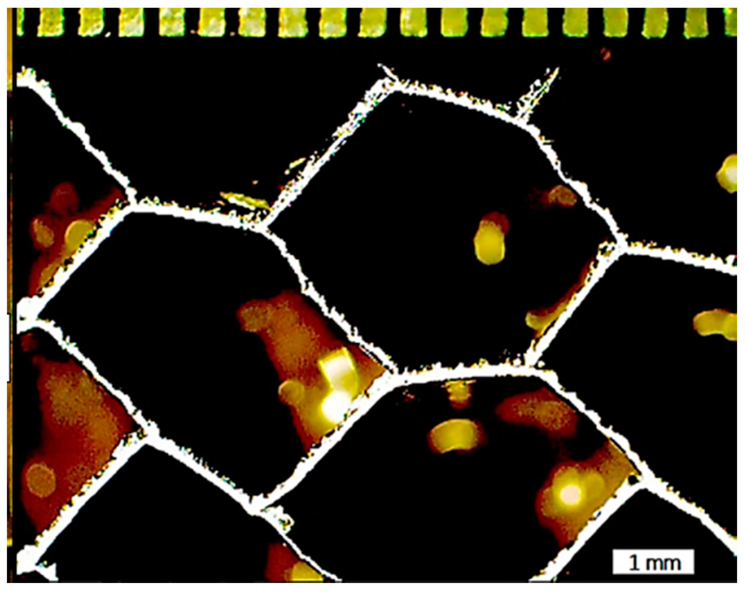 Sensors 17 02114 g010